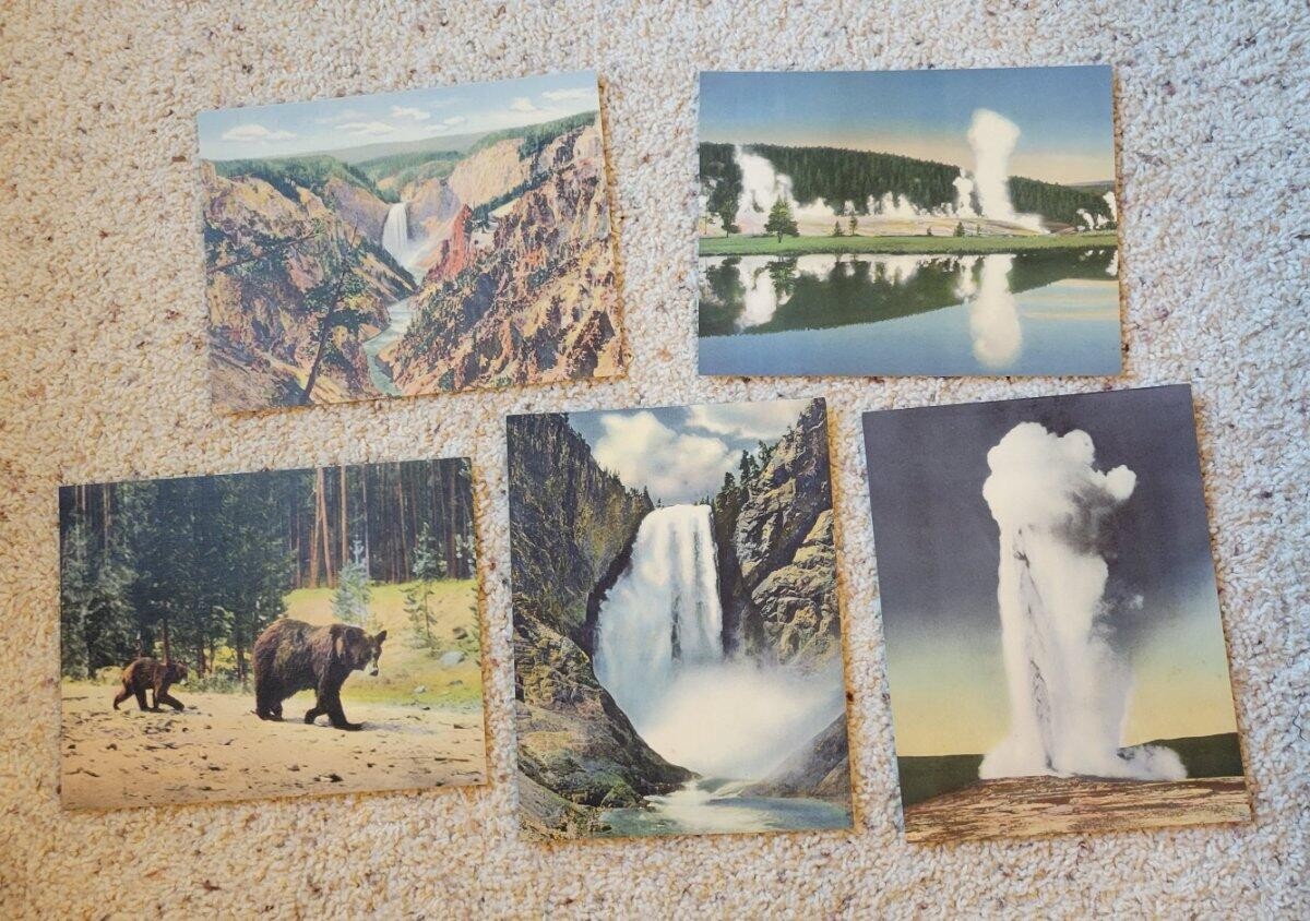 Vintage Yellowstone National Park Portfolio Set Haynes & Large Postcards