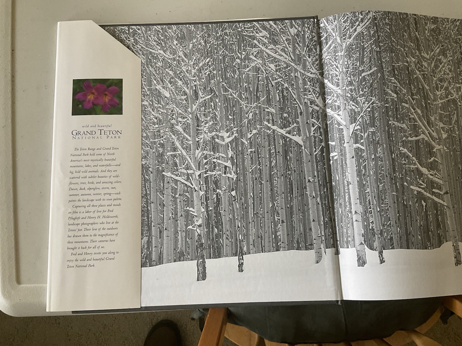 Grand Teton National Park Illustrated Photography Book Wyoming Photography