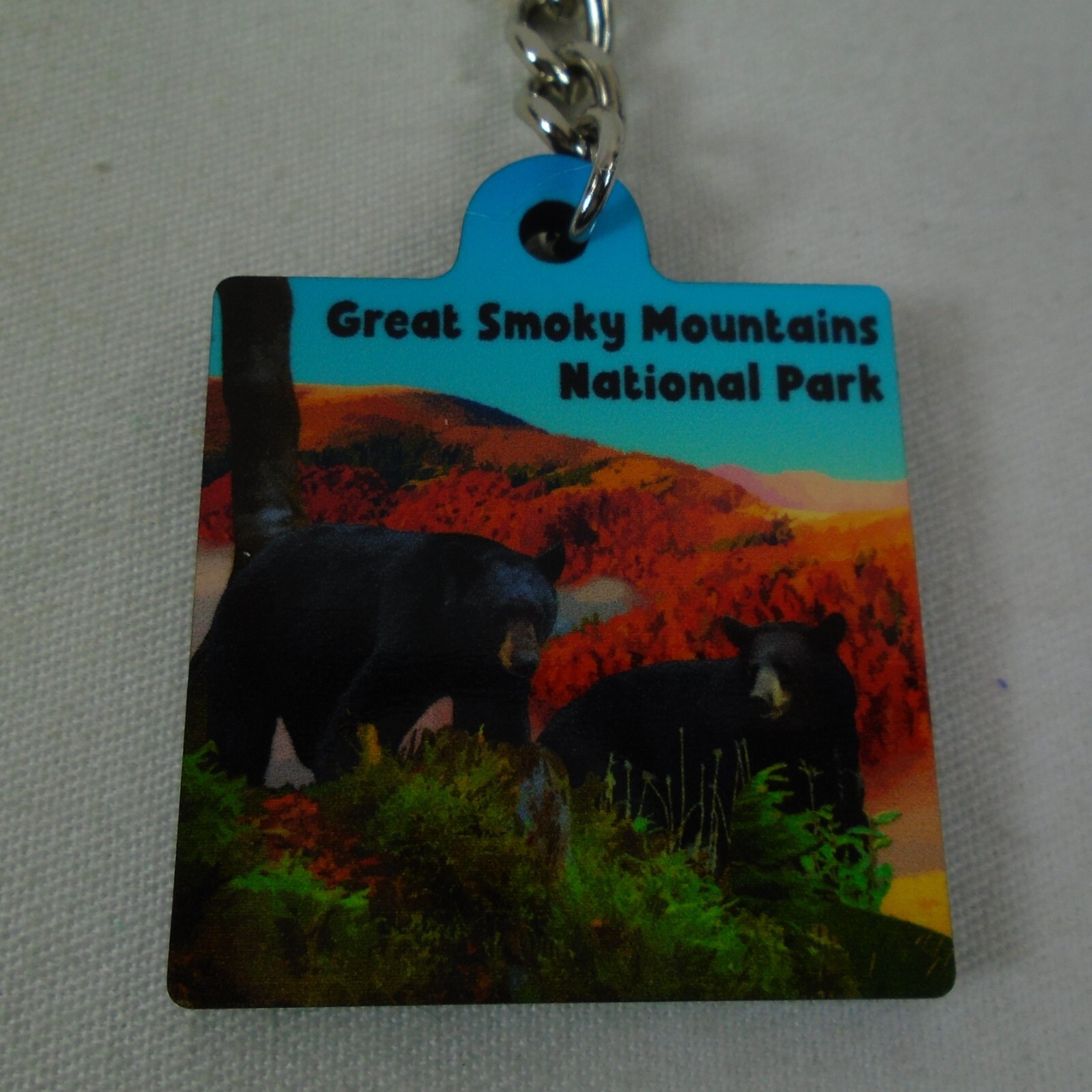 Great Smoky Mountains National Park Black Bear & Cub Keychain Souvenir Ring Fob
