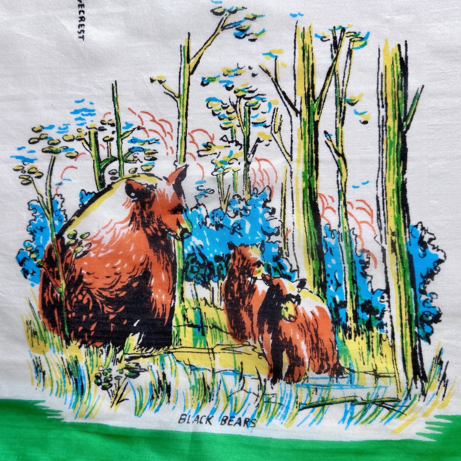 Silk Scaf The Great Smoky Mountains National Park North Carolina TN 33 x 33 Inch