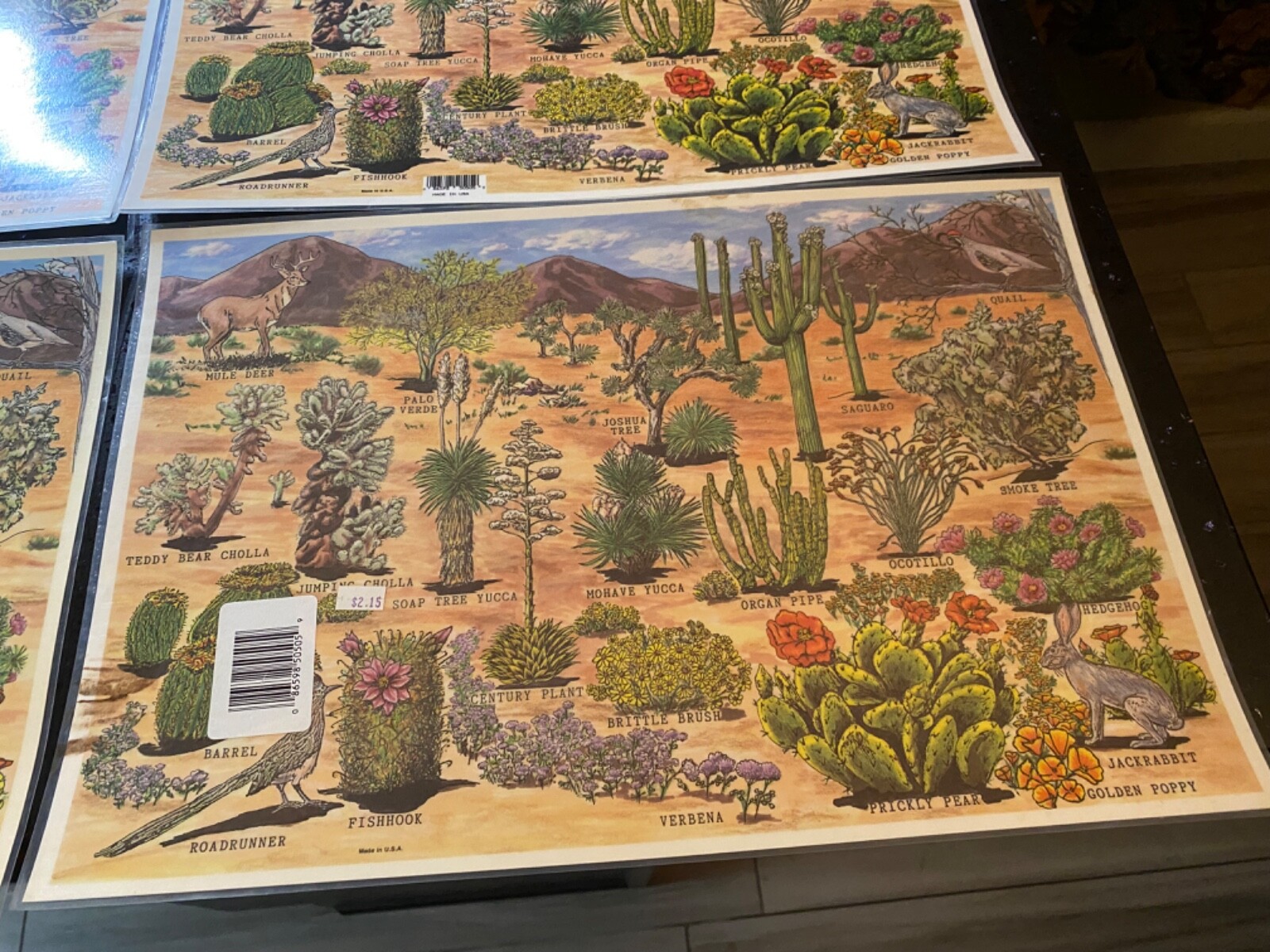 lot of 4 Grand Canyon Painted desert Petrified forest National Parks table mats