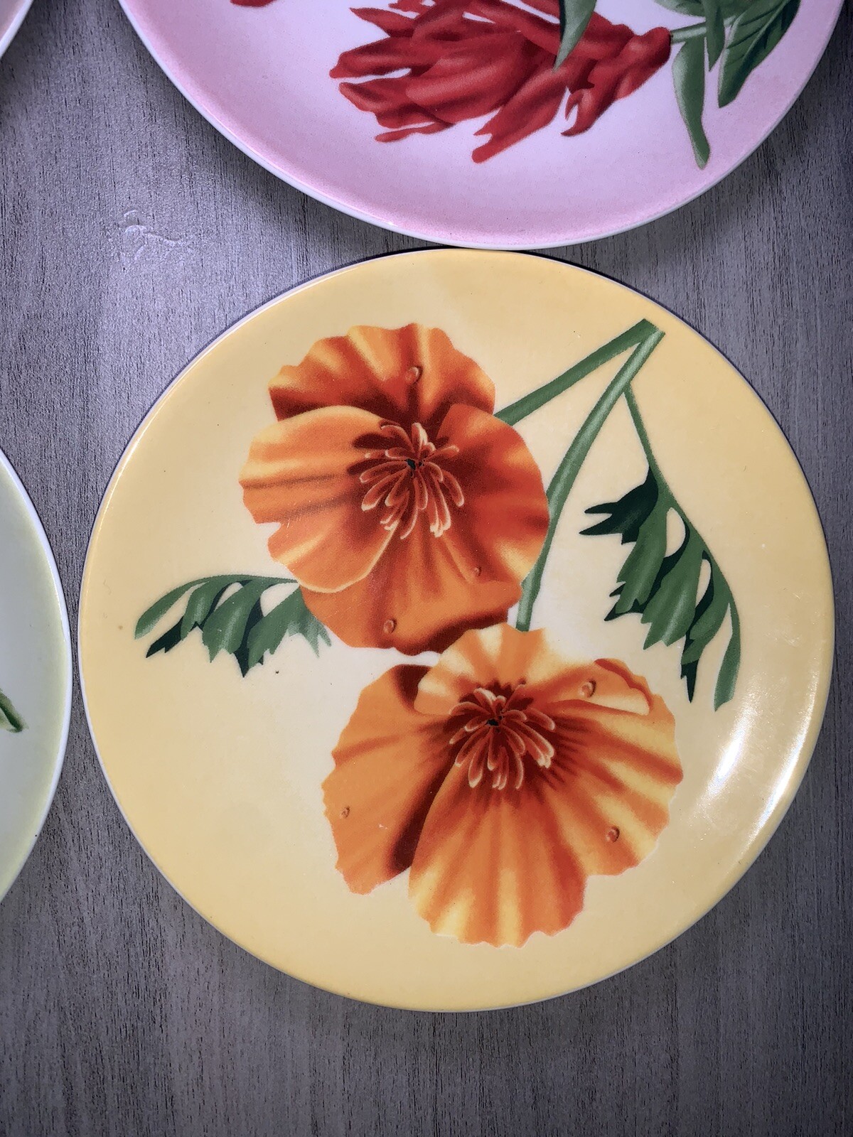 YOSEMITE FLORAL DESSERT PLATES: SET OF 4 YOSEMITE DNC PARKS AND RESORTS 6” NIB