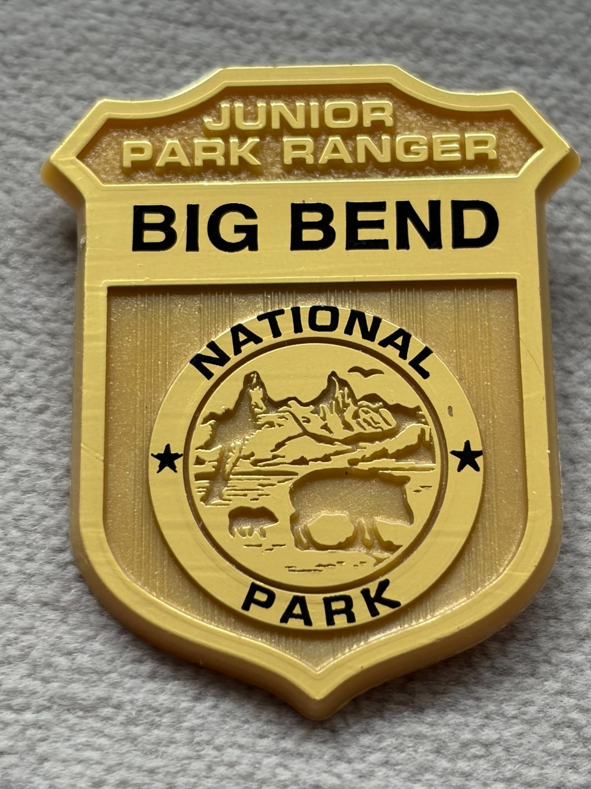 RARE BIG BEND NATIONAL PARK JUNIOR RANGER BADGE TEXAS JAVELINA MOUNTAINS DESIGN
