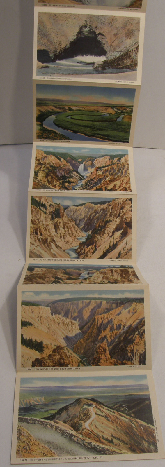 VINTAGE c1937 HAYNES SOUVENIR FOLDER POSTCARD YELLOWSTONE PARK SERIES A B C D
