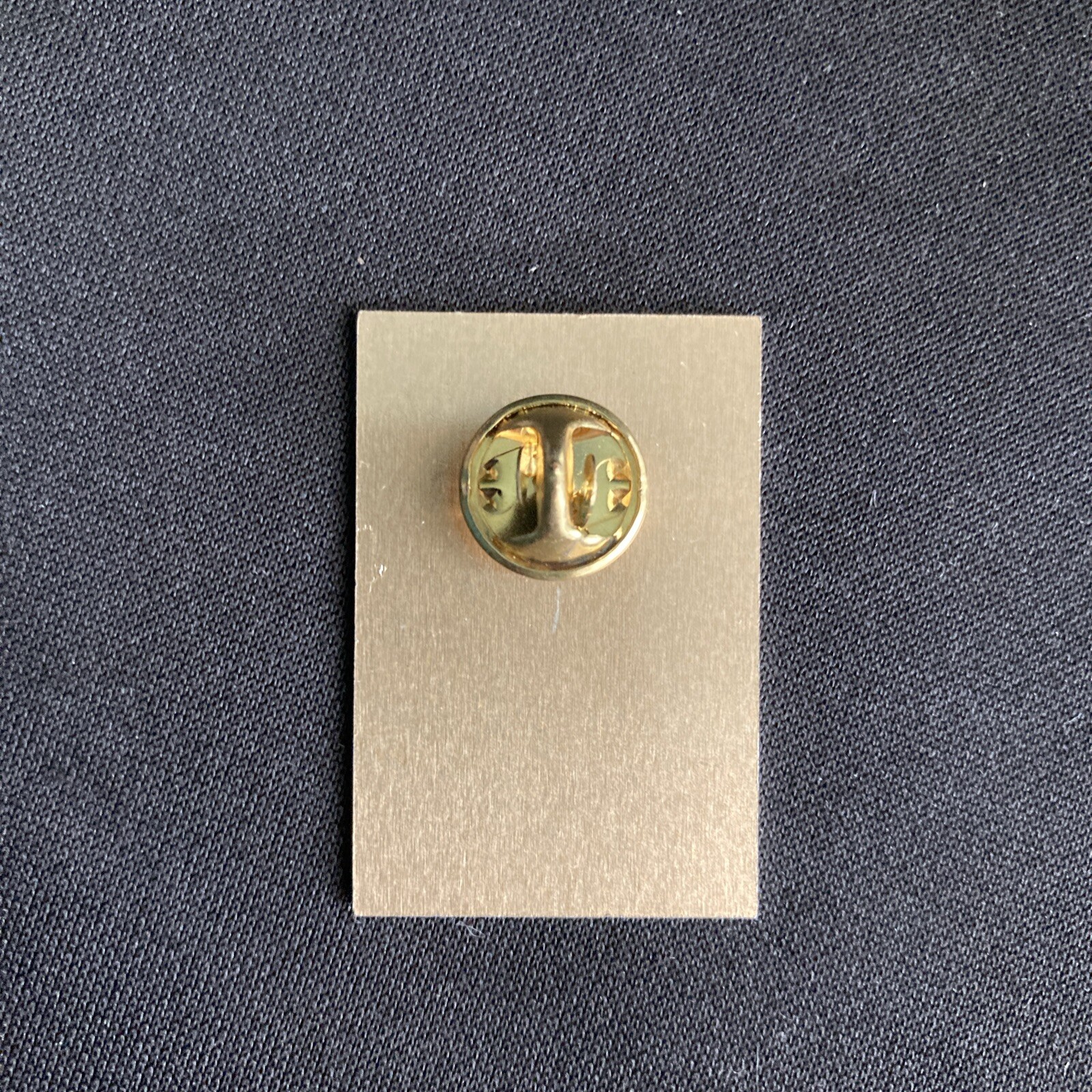 National Landscape Conservation System Lapel Pin Conservation Areas 10th Ann BLM