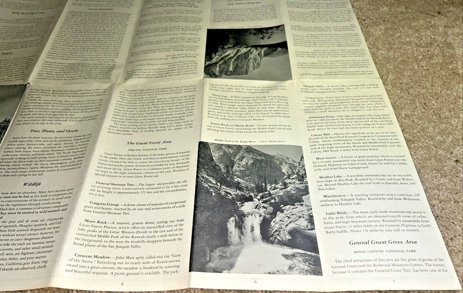 2 Vintage SEQUOIA NATIONAL PARK Brochures US Dept of Interior 1954 & 1957