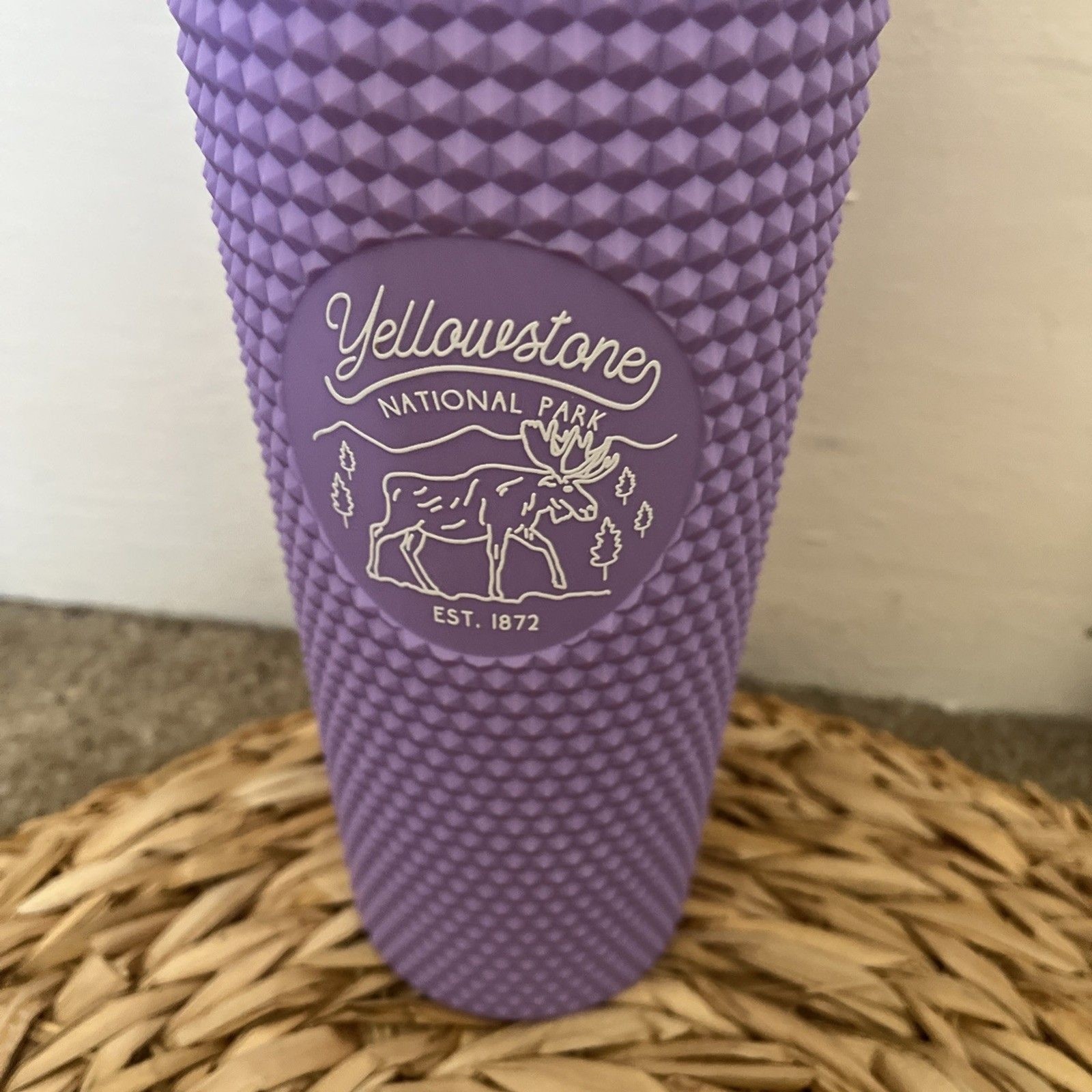 Yellowstone National Park Tumbler 16 Fl oz Purple Textured Sustainable w/straw