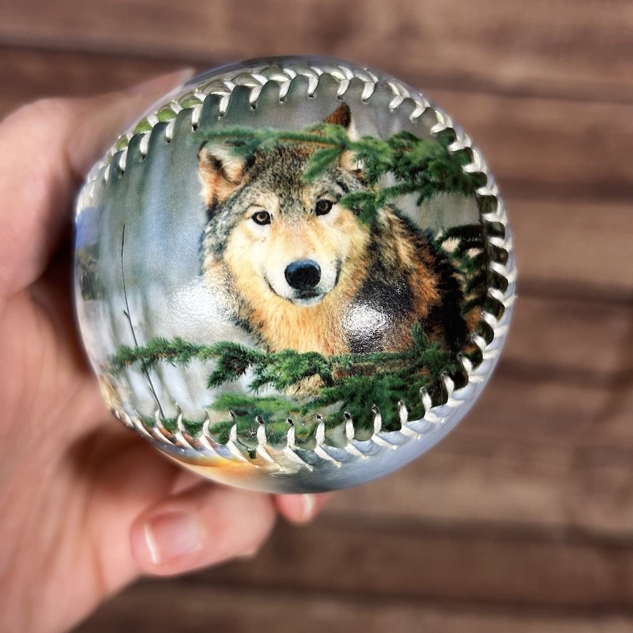 Yellowstone National Park Souvenir Baseball Wolf Bison Old Faithful Ball