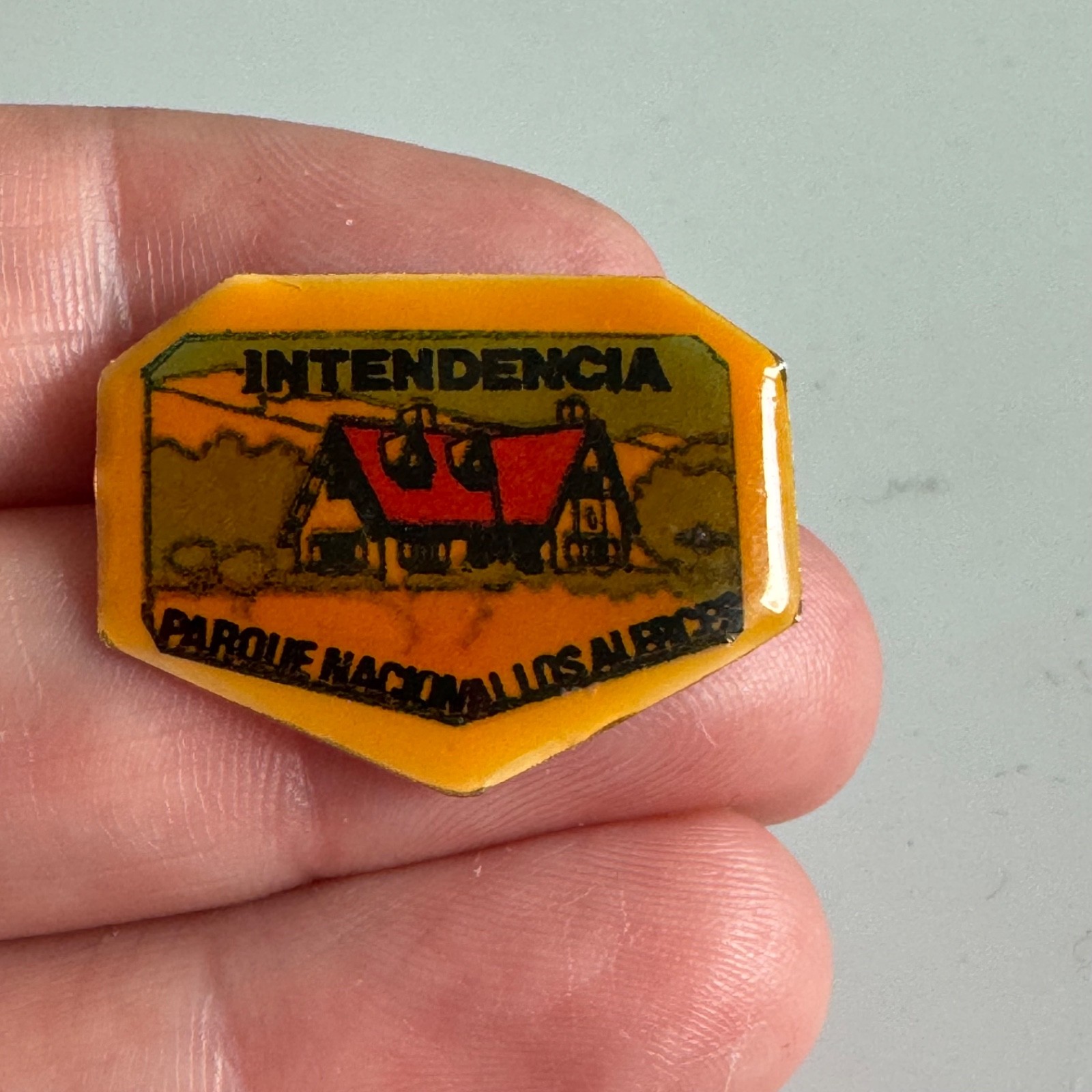 Vintage Intendencia Parque Nacional Los Alerces Argentina National Park Pin