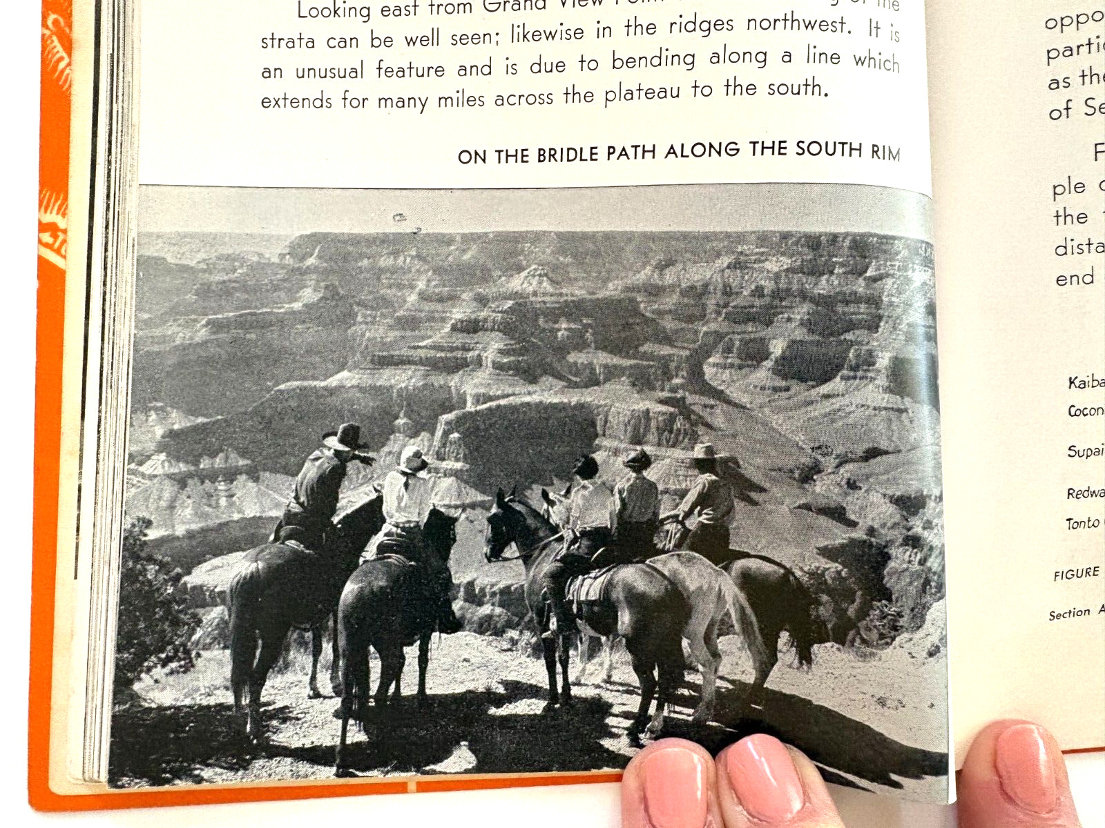 1956 Paperback Book “Story of the Grand Canyon” by U.S. Geological Survey *