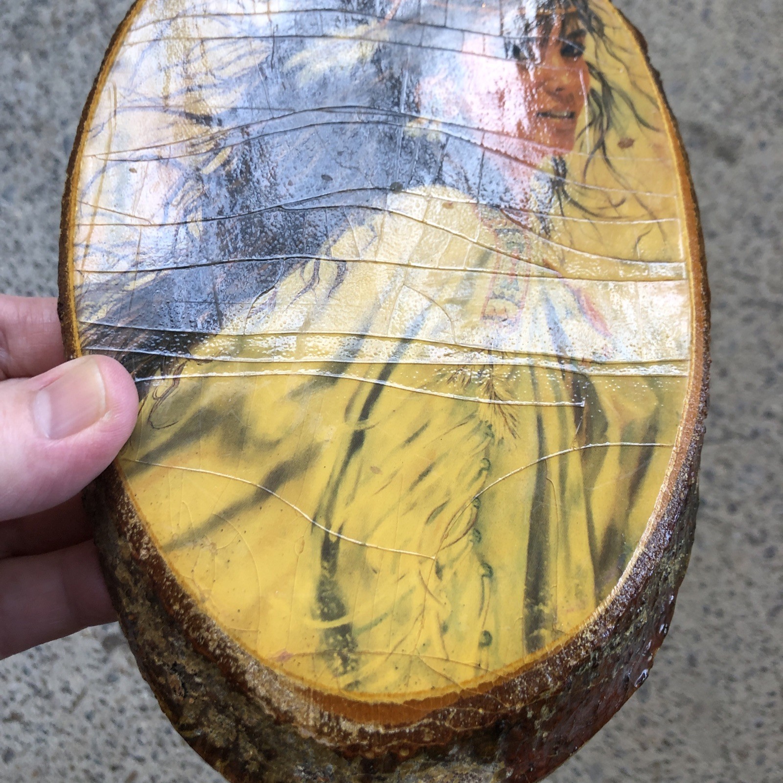 Indian Woman Yellowstone National Park USA Crackled Shellac Wall Hanging Wood