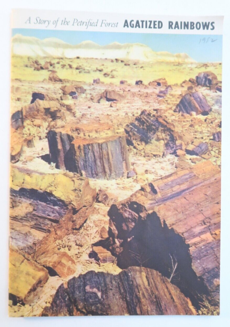 Agatized Rainbows A Story of the Petrified Forest Travel Souvenir Book 1951