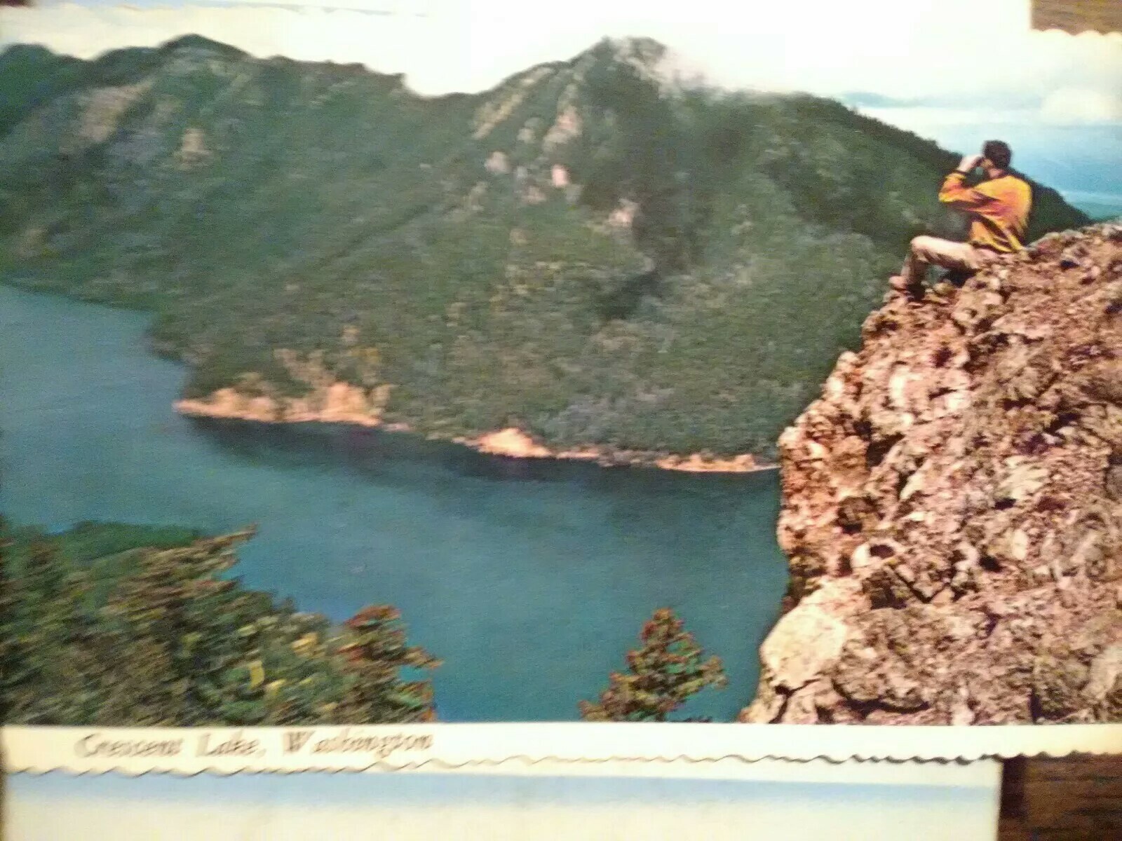 VINTAGE POST CARD AERIAL VIEW CRESCENT LAKE WASHINGTON