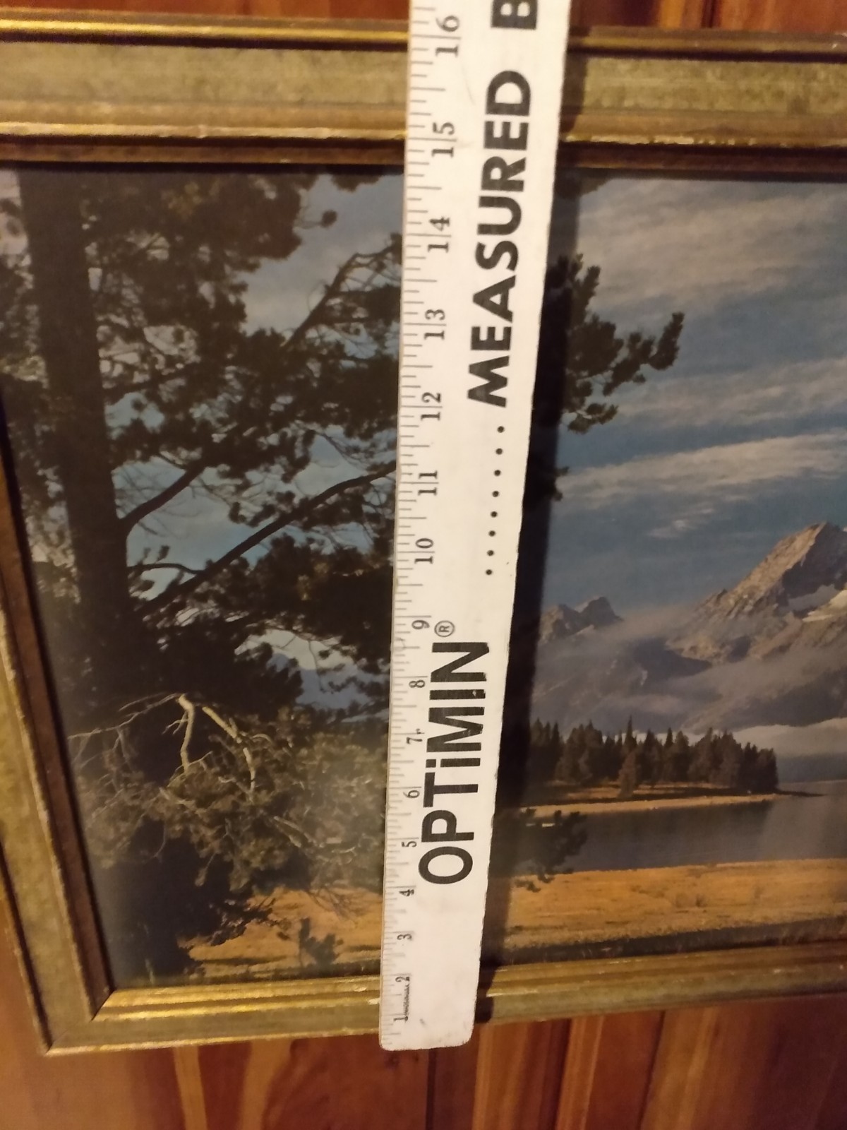 OLD Mount Moran Grand Teton Nat Park WY Framed Behind Glass Print 16.5″ x 22.5″!