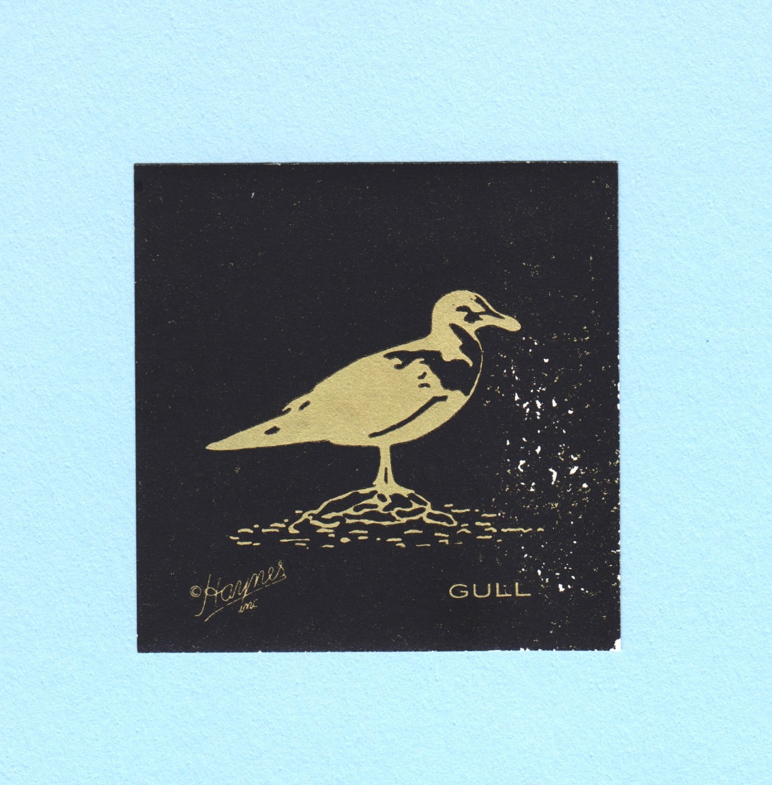 Vintage Haynes Inc. YELLOWSTONE GULL Wildlife Seal/Sticker