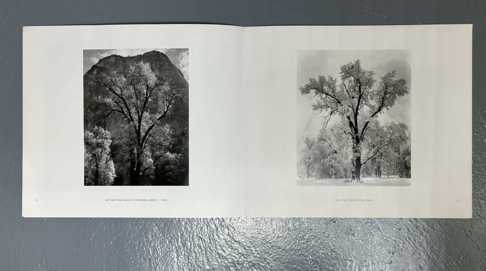 ANSEL ADAMS in YOSEMITE VALLEY Celebrating PARK at 150 Peter Galassi 2014 PROOF