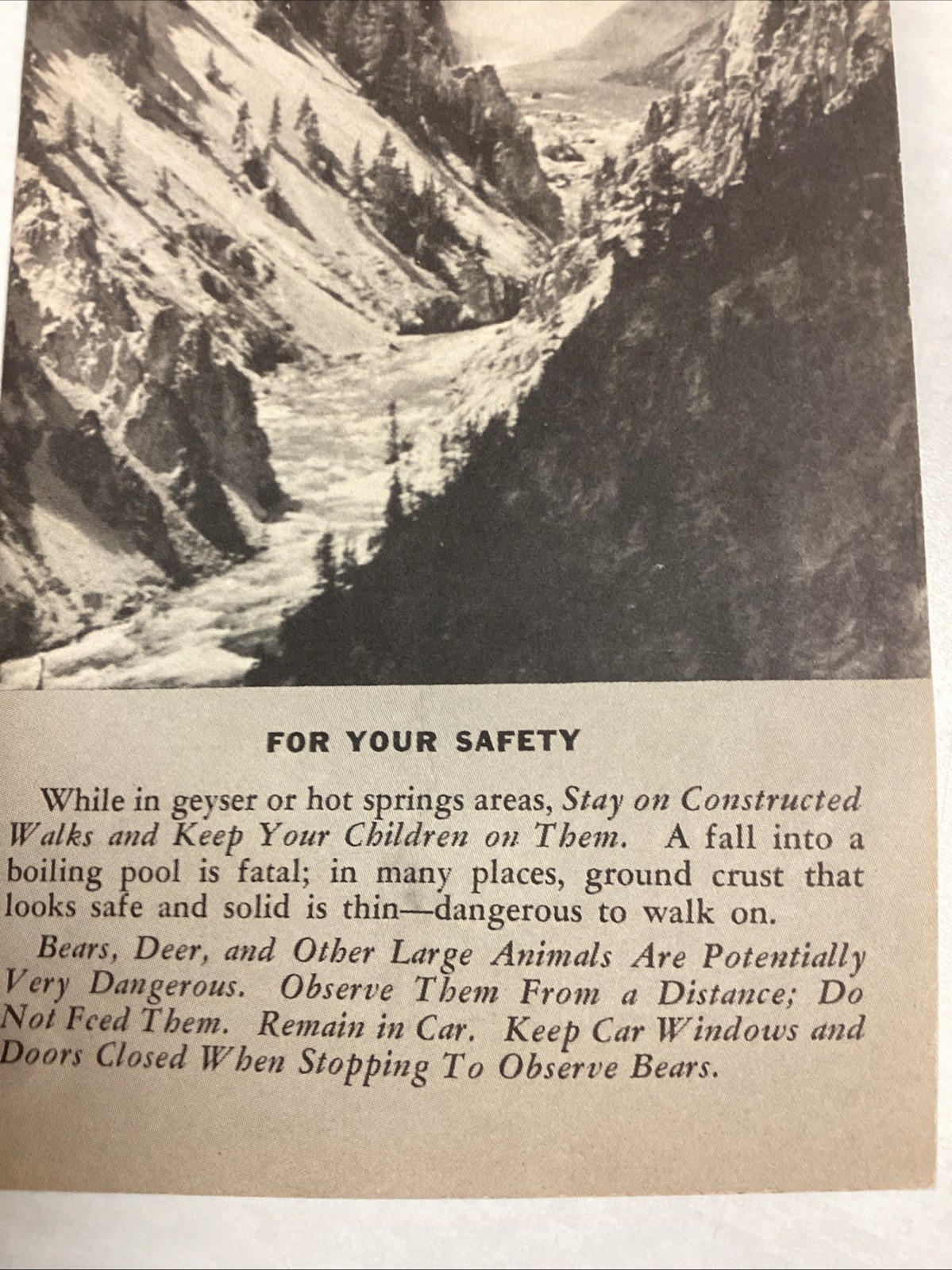 Yellowstone National Park – Vintage Original Brochure/Map – 1962
