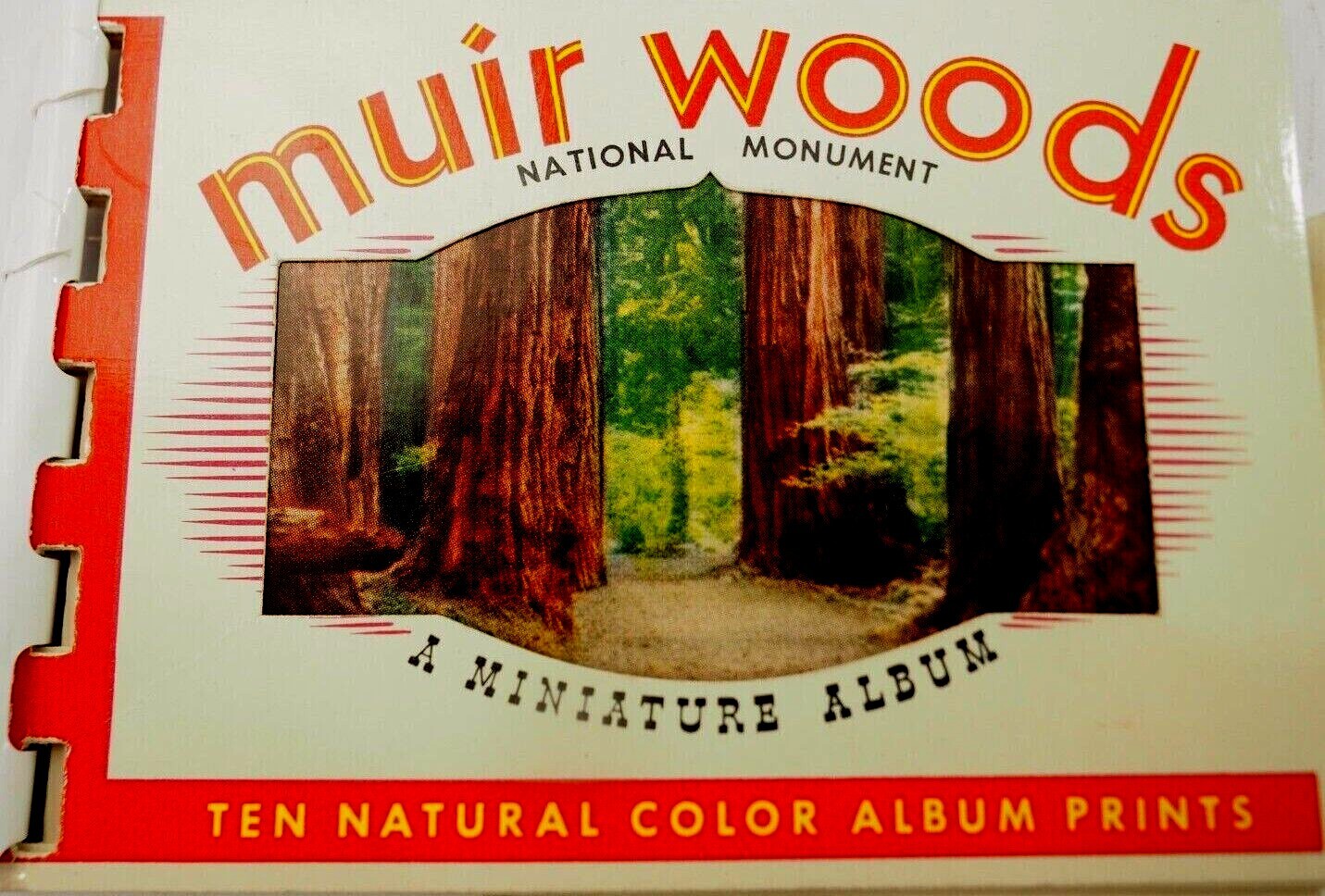 Muir Woods National Monument Miniature Album 10 Color Prints in Spiral binder