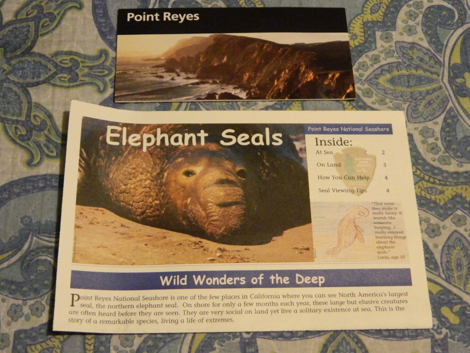 Point Reyes National Seashore Guide Map Newspaper