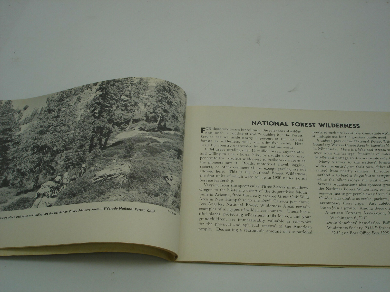 1960 NATIONAL FOREST VACATION Book Parks by State Scenic Drives Picnics Guide