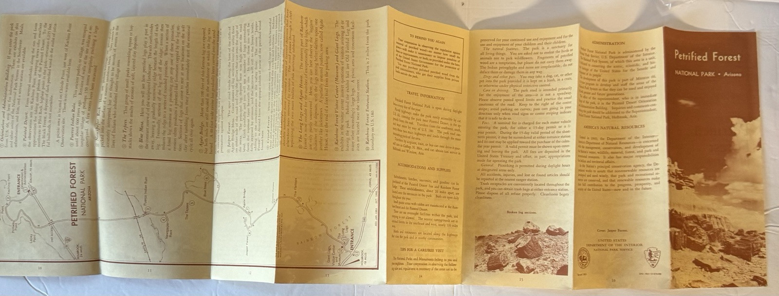 Vintage 1963 The Petrified Forrest National Park Arizona Travel Brochure