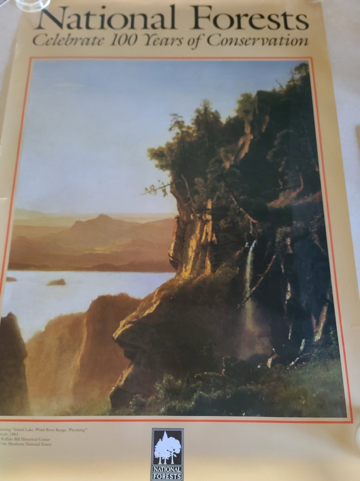 National Forests Conservation Poster US Forest Service 24×36