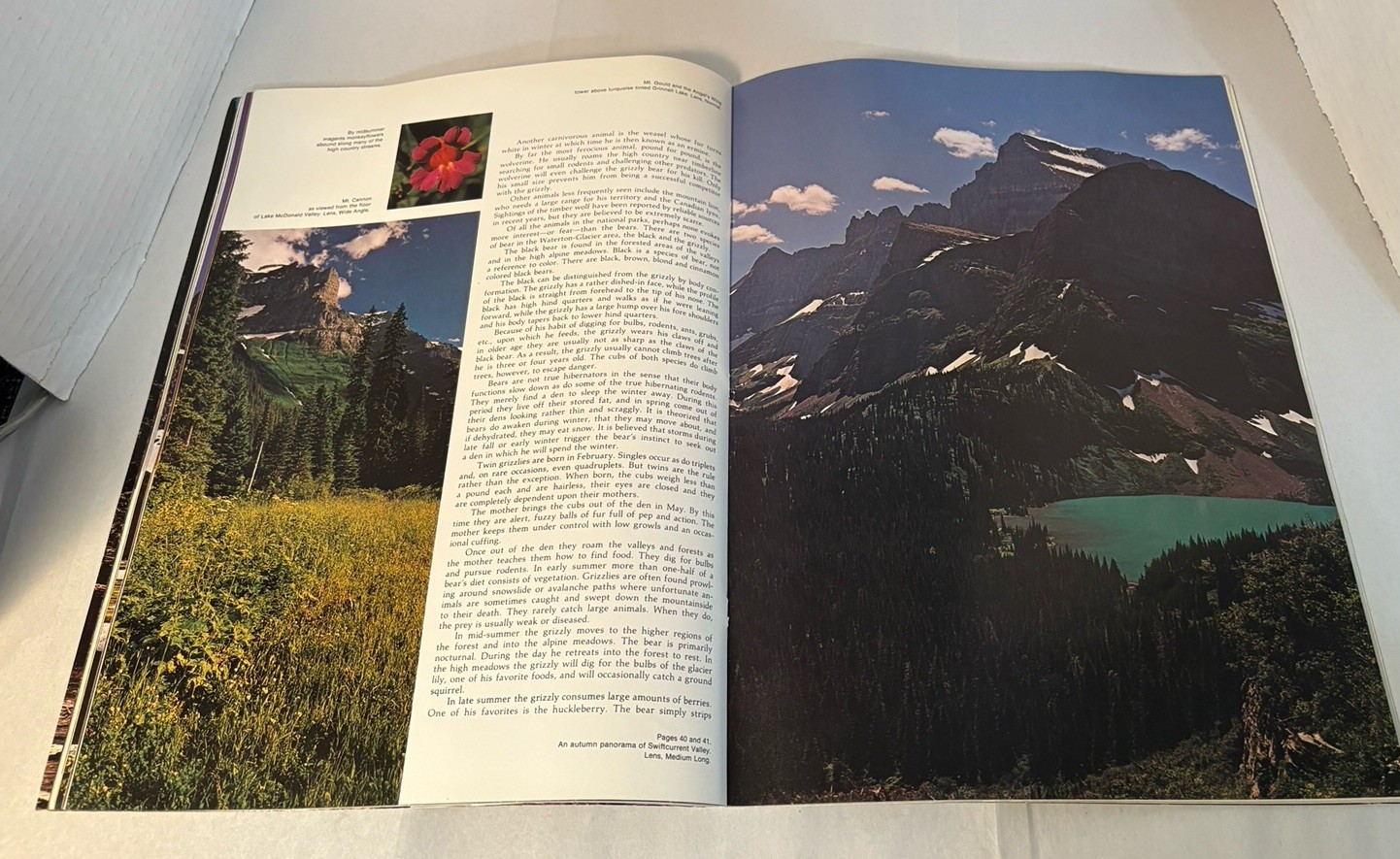 VTG 70s Glacier Nat’l Park Book Bundle; Glacier & Waterton Lakes, Logan Pass+