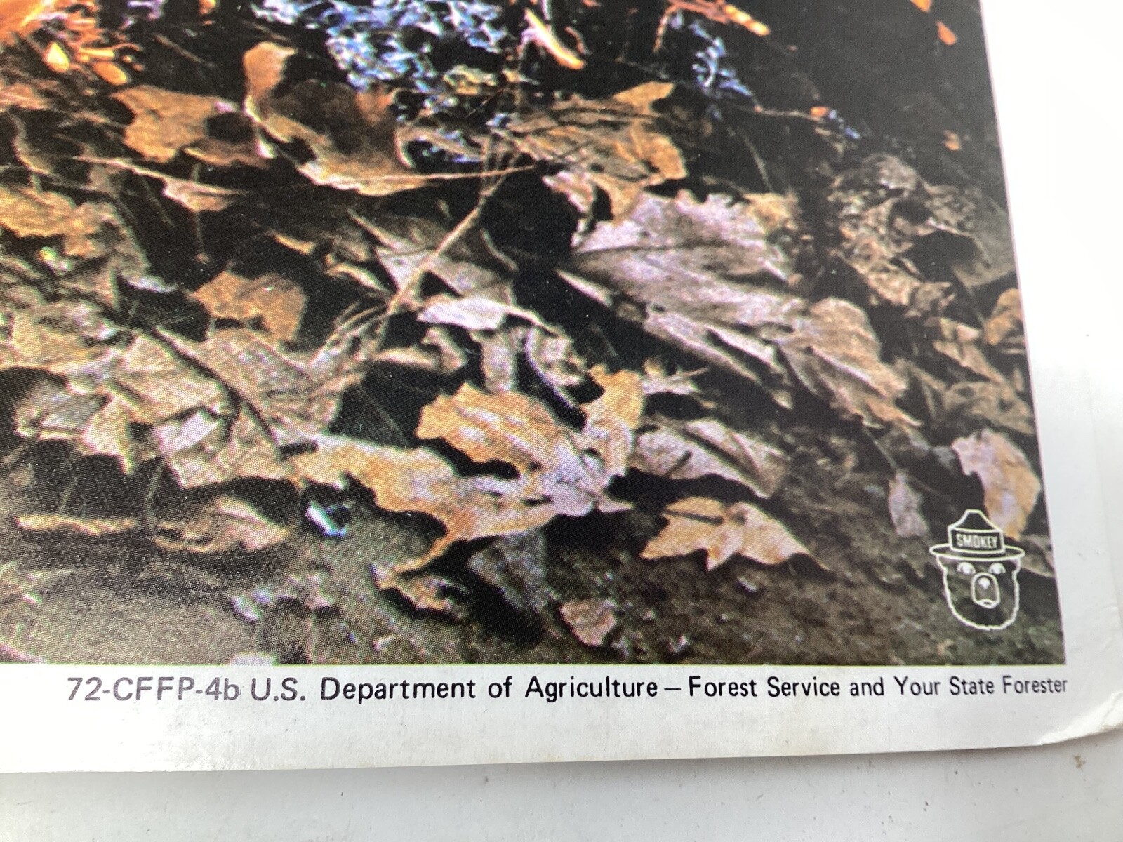 Vintage 1971 Don’t Let Fire Get Away From You Poster Environmental Fire Prevent