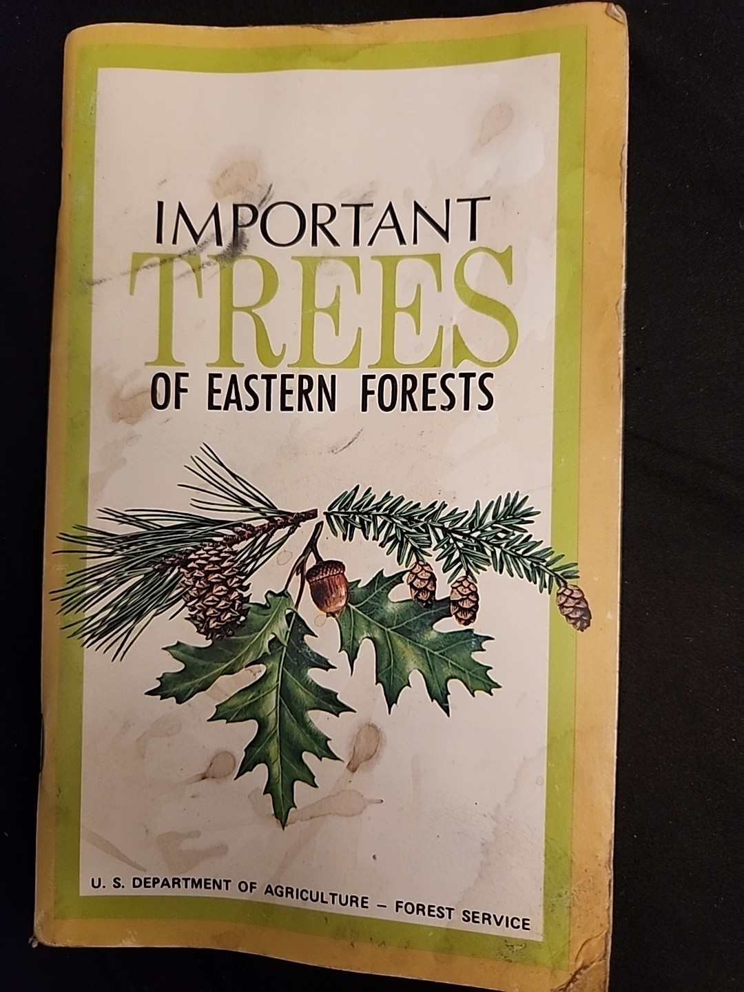 1968 Important Eastern Forest Trees Vintage Identification Book Agriculture Dept