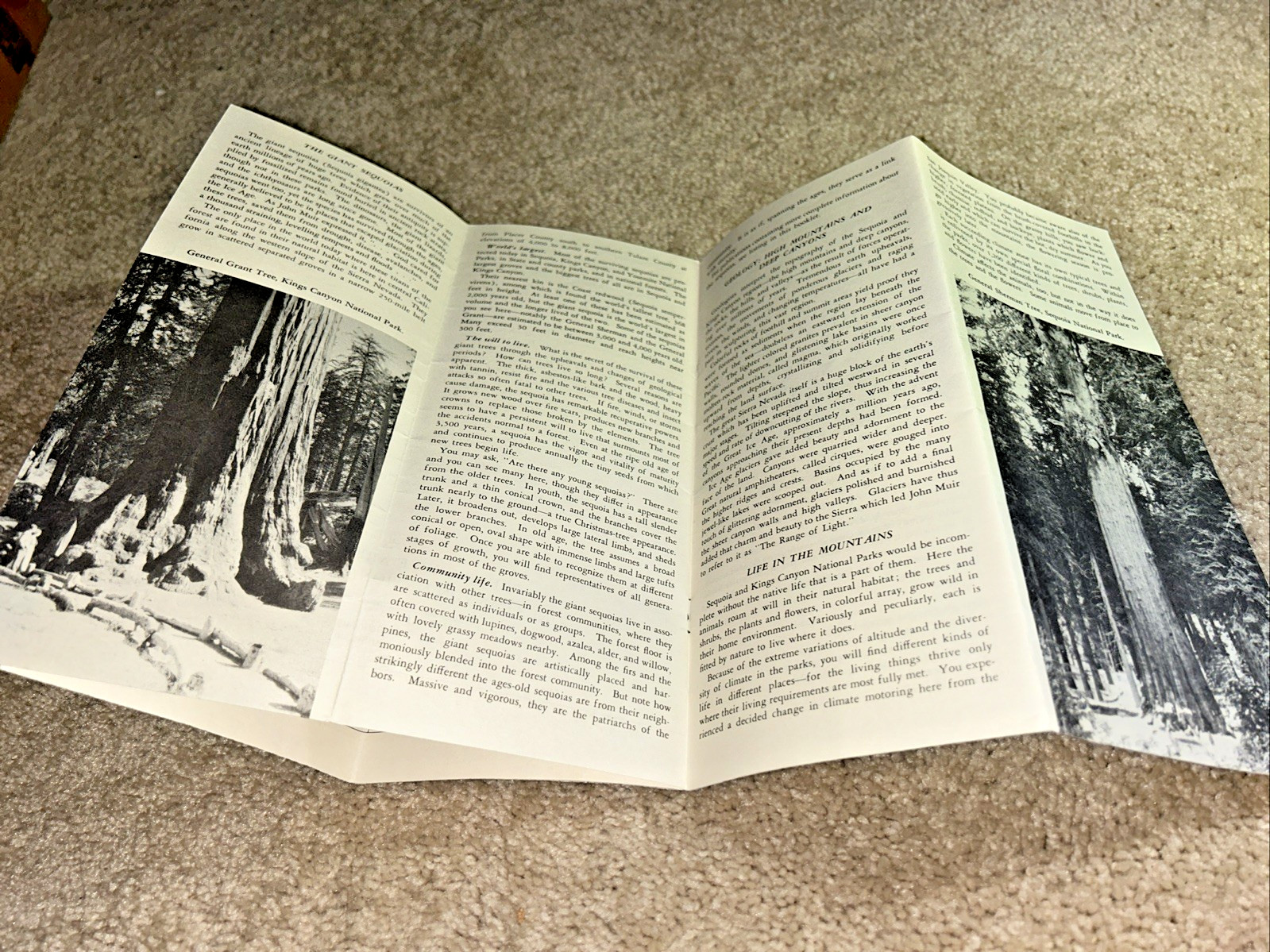 2 Vintage SEQUOIA NATIONAL PARK Brochures US Dept of Interior 1954 & 1957