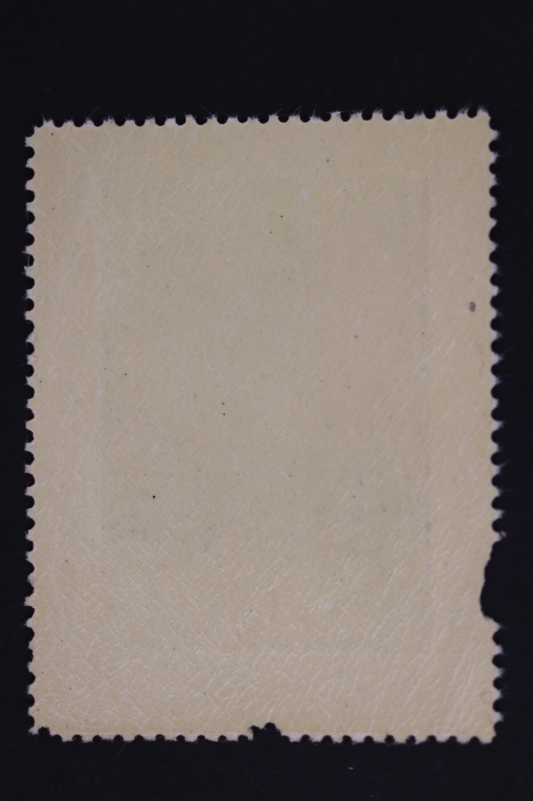 ZION NATIONAL PARK 1932 LOS ANGELES OLYMPIAD UNUSED POSTER LABEL