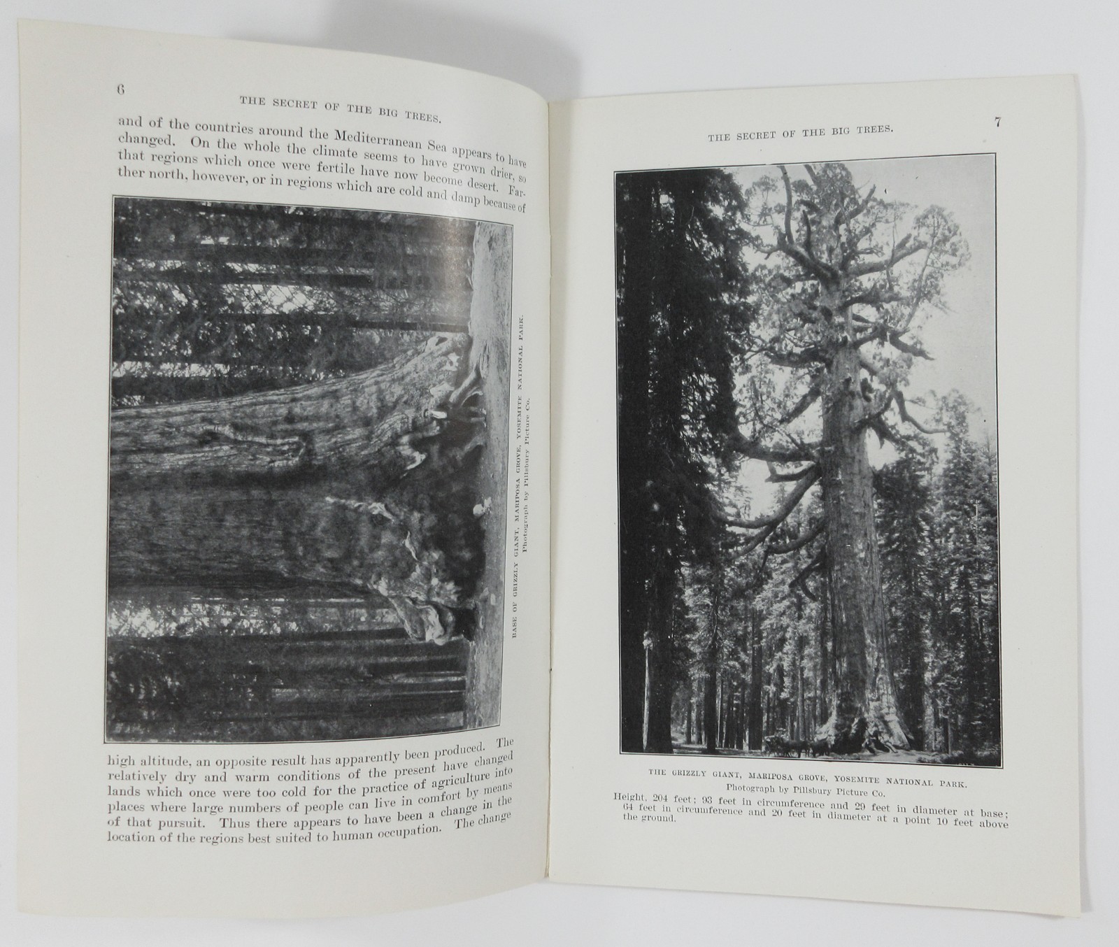 Yosemite Sequoia General Grant National Park Secret Big Trees Booklet DOI 1913