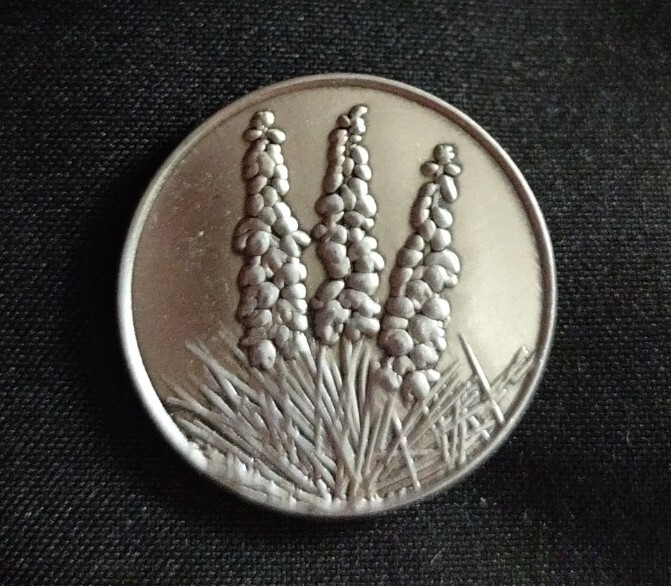 Yucca New Mexico State Flower National Park Coin Token