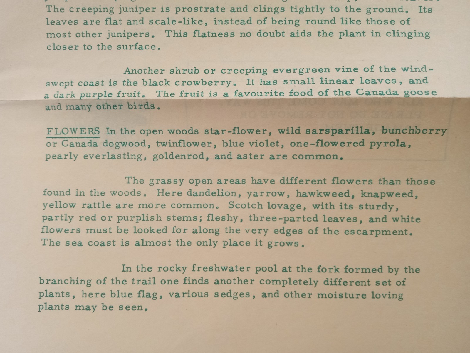 Cape Breton Highlands National Park 1968 MIDDLE HEAD NATURE TRAIL Pamphlet