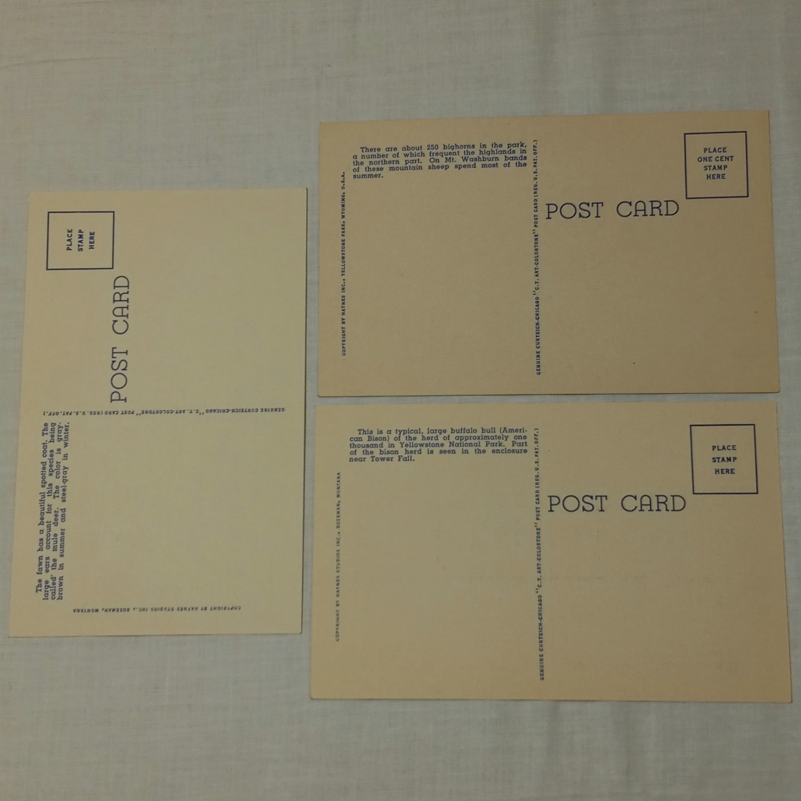 1950 Yellowstone National Park Ticket Permit + 9 Unposted Linen Postcards