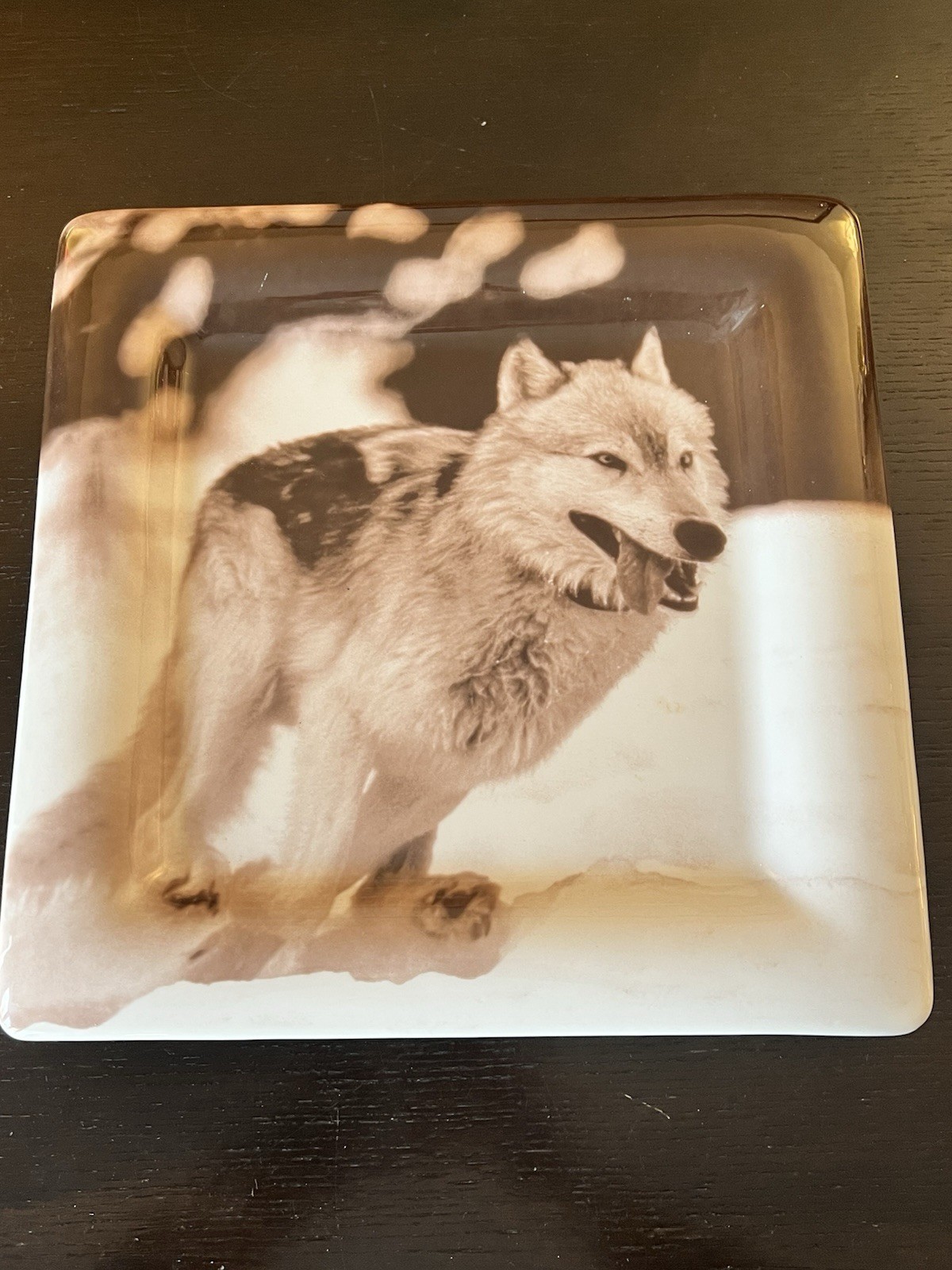 Yellowstone Wolf Plate Rose Creek Alpha Male #10 Barry O’Neill 13.5” w/ Box