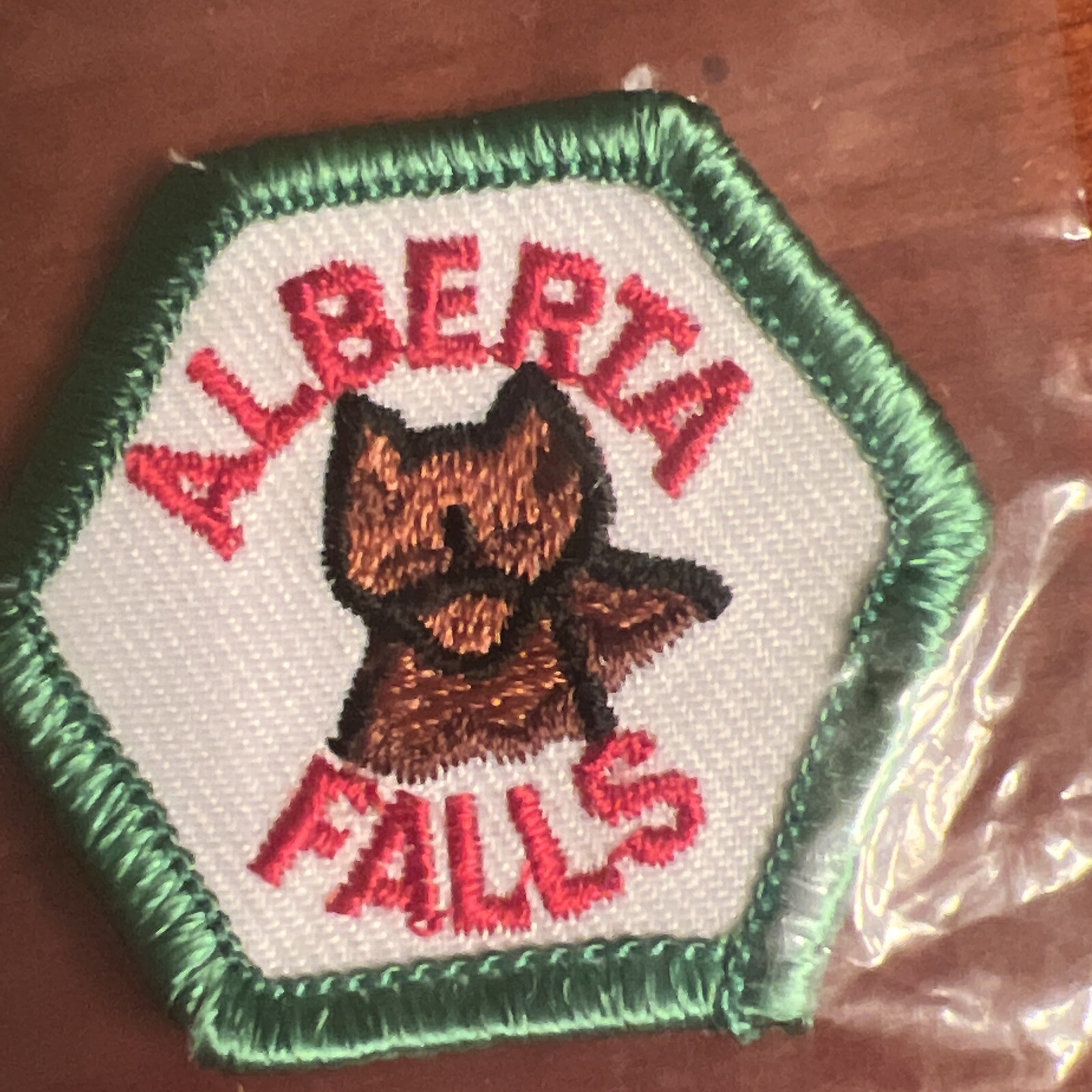 Alberta Falls CO Rocky Mountain National Park Trail Tag 1972 Patch Vintage NOS