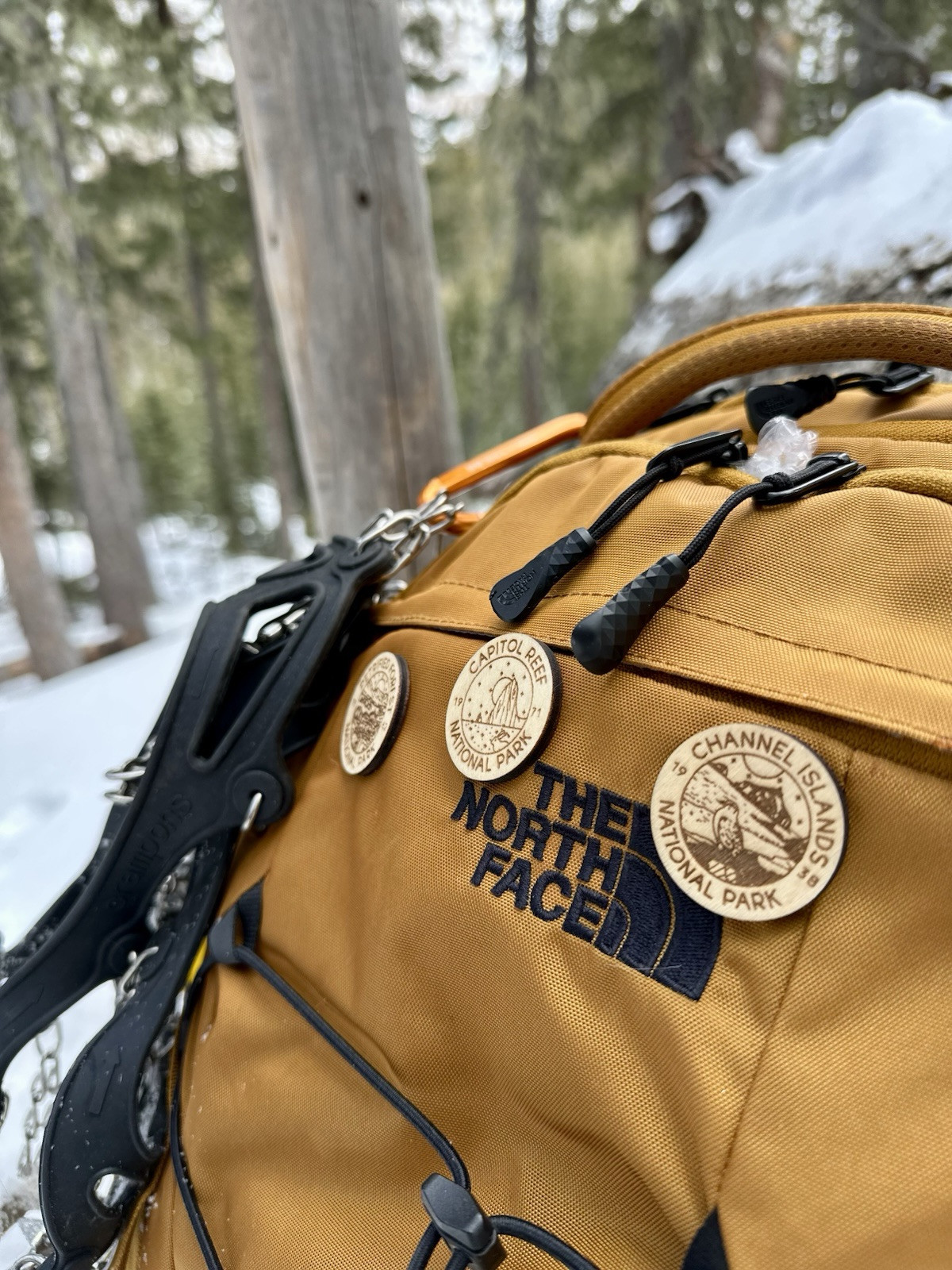 National Park Pins | NPS Pins | Made in USA (all 63 parks included)
