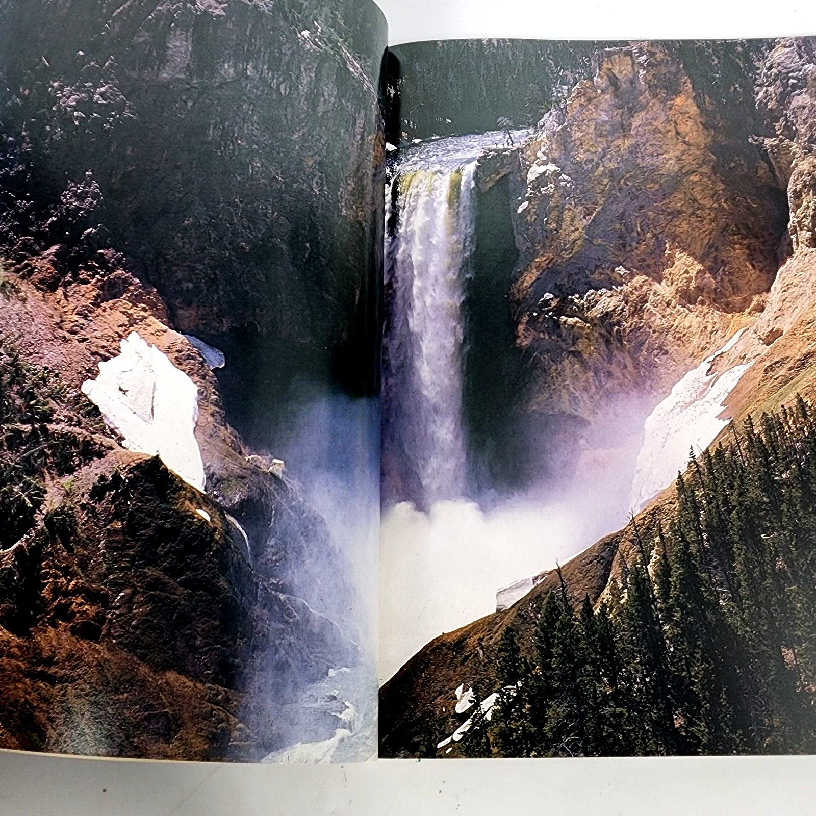 Yellowstone Grand Old Park Book Adam Randolph Collings Illustrated Photos .