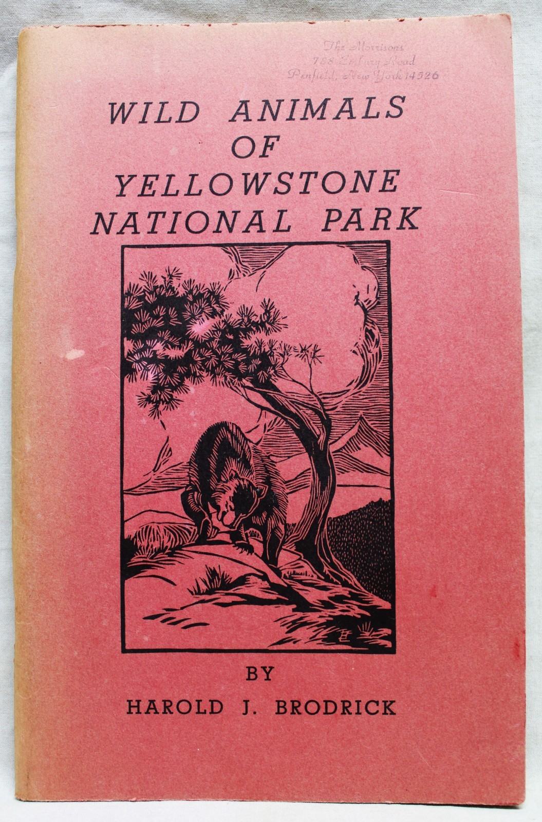 WILD ANIMALS OF YELLOWSTONE NATIONAL PARK BOOKLET BY HAROLD J. BRODRICK 1959