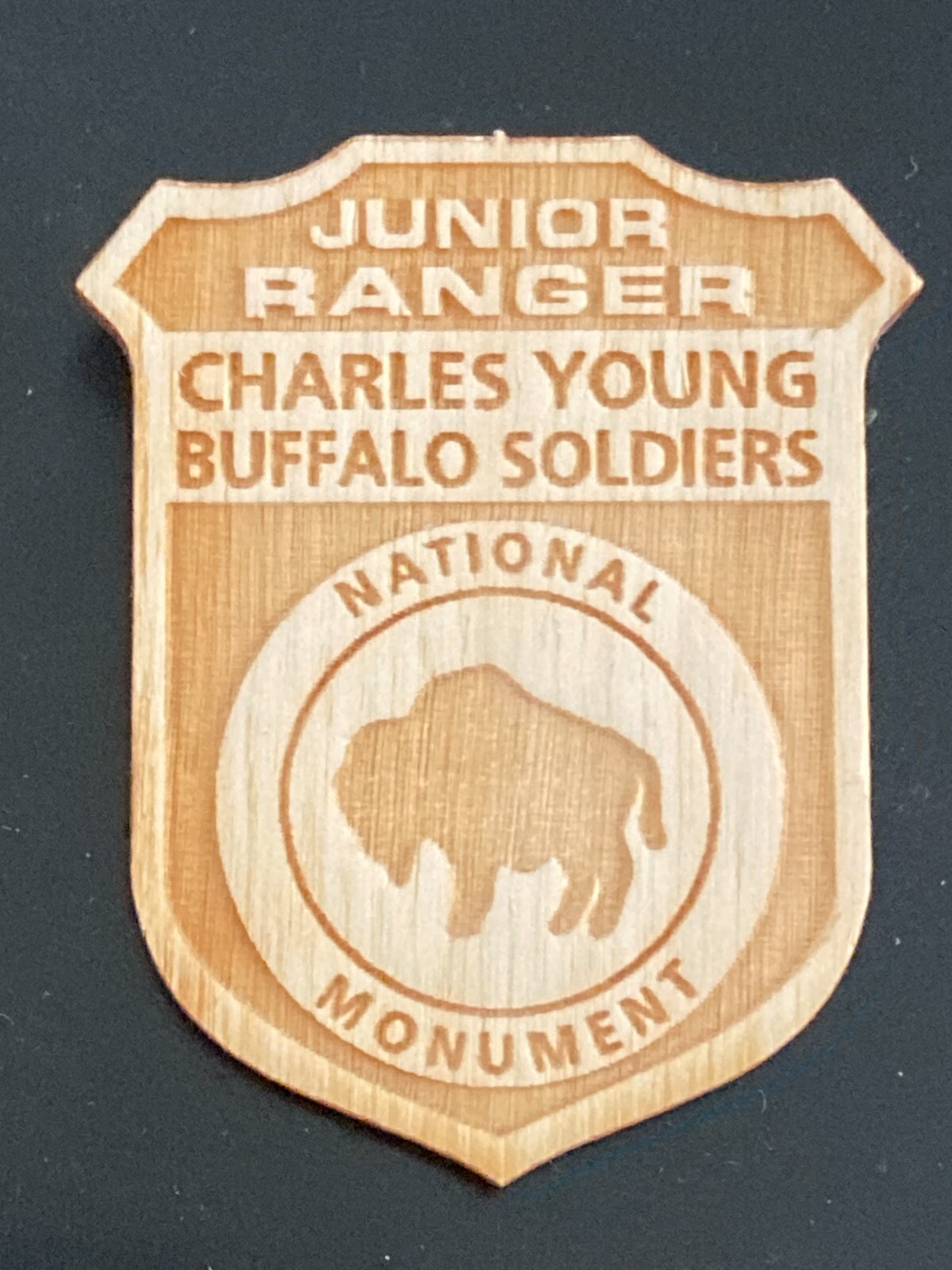 CHARLES YOUNG BUFFALO SOLDIERS NATIONAL PARK JUNIOR RANGER BADGE BLACK HISTORY