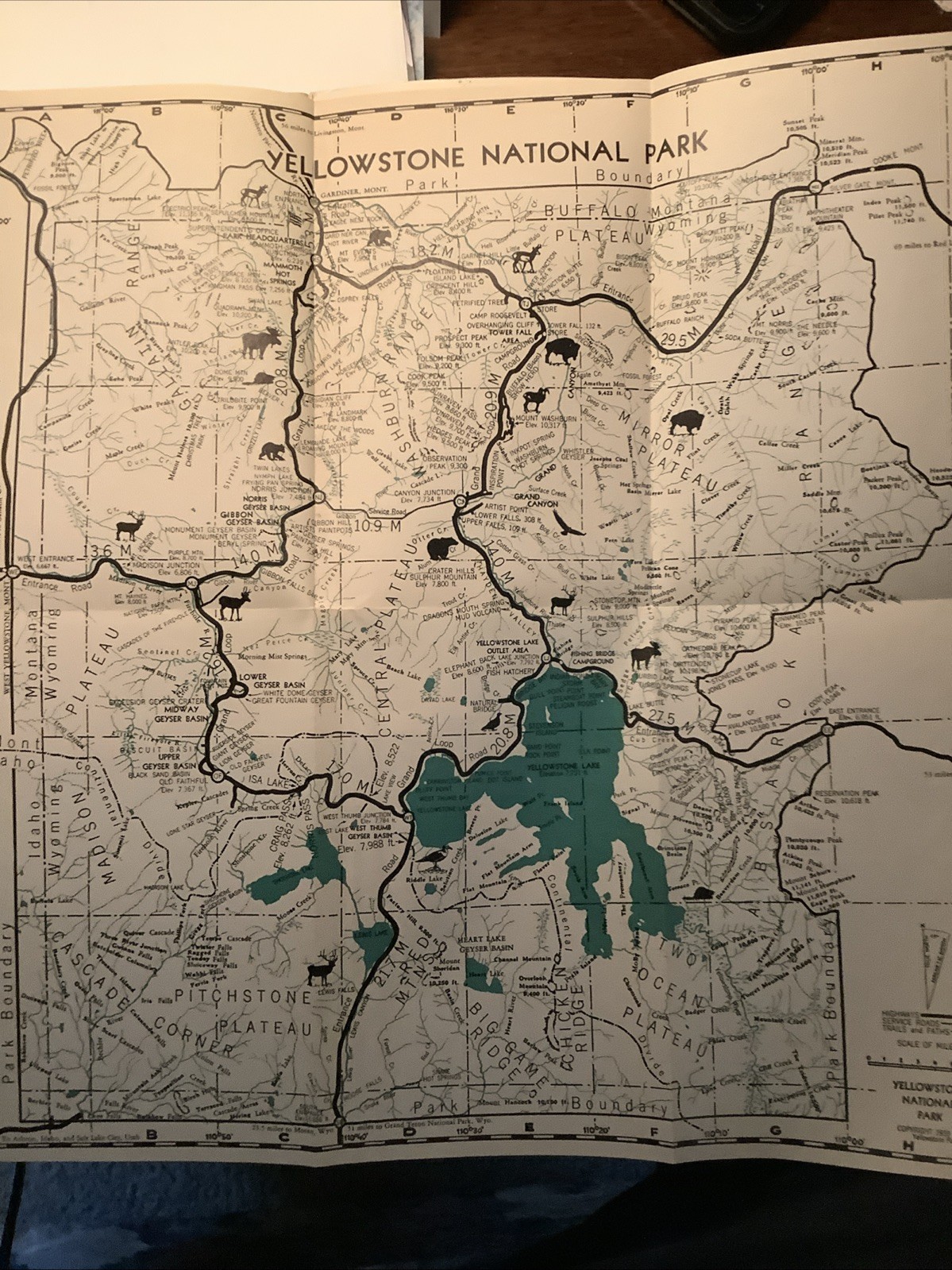 Haynes Guide Yellowstone National Park Book