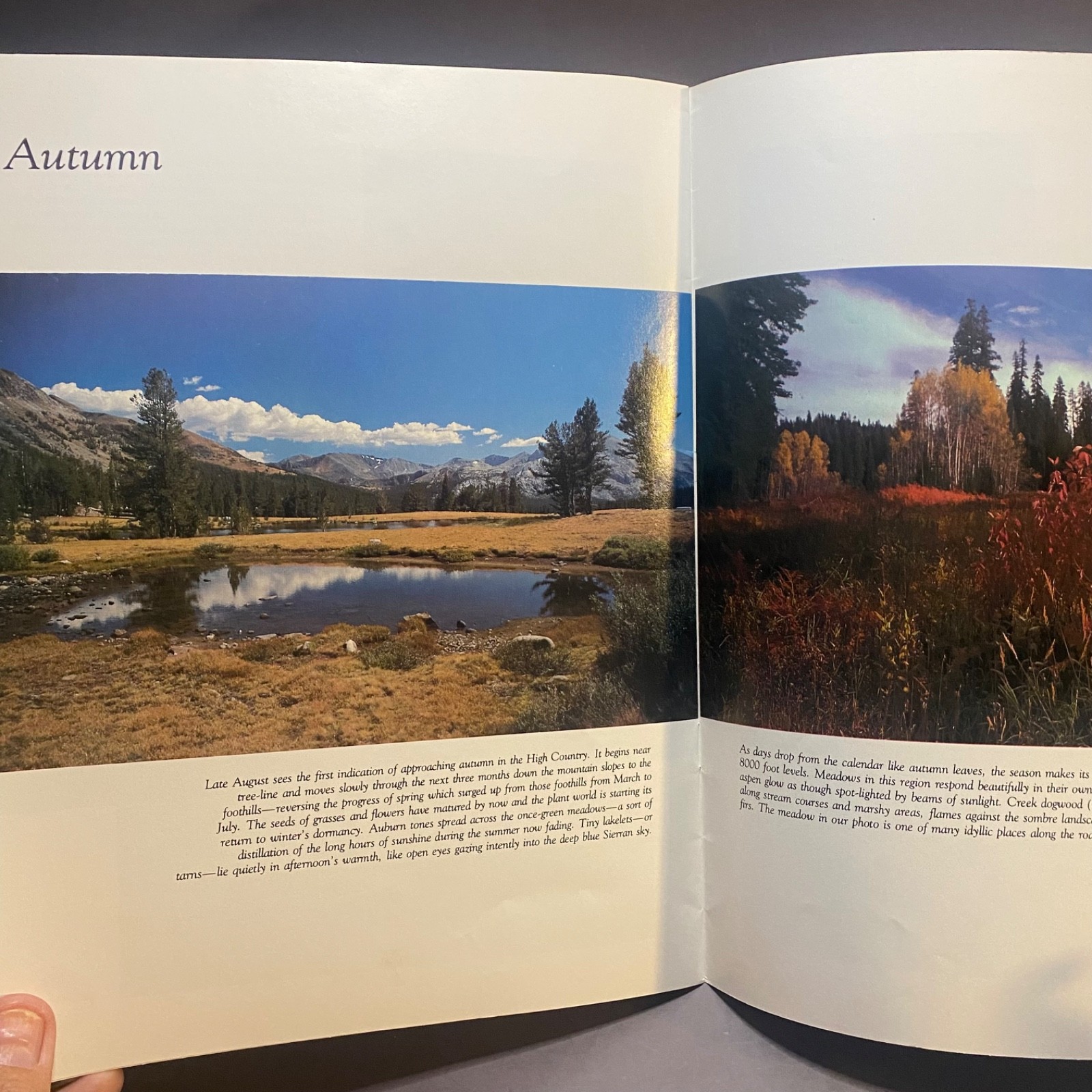 The Four Seasons of Yosemite Photos and Text by Dana Morgenson 1978