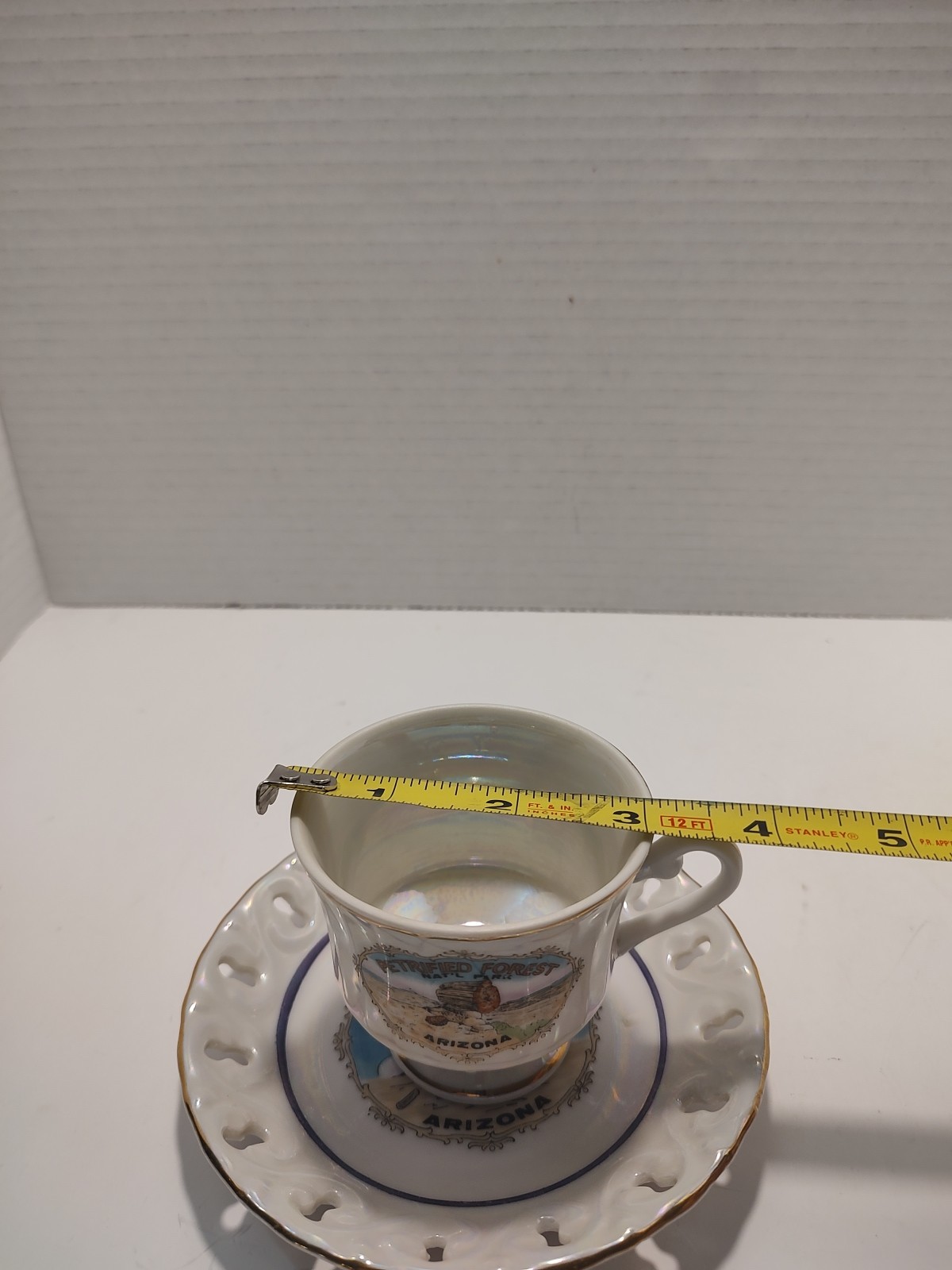 🔥 Vintage Petrified Forest Nat’l Park Souvenir Teacup & Saucer Pearlescent