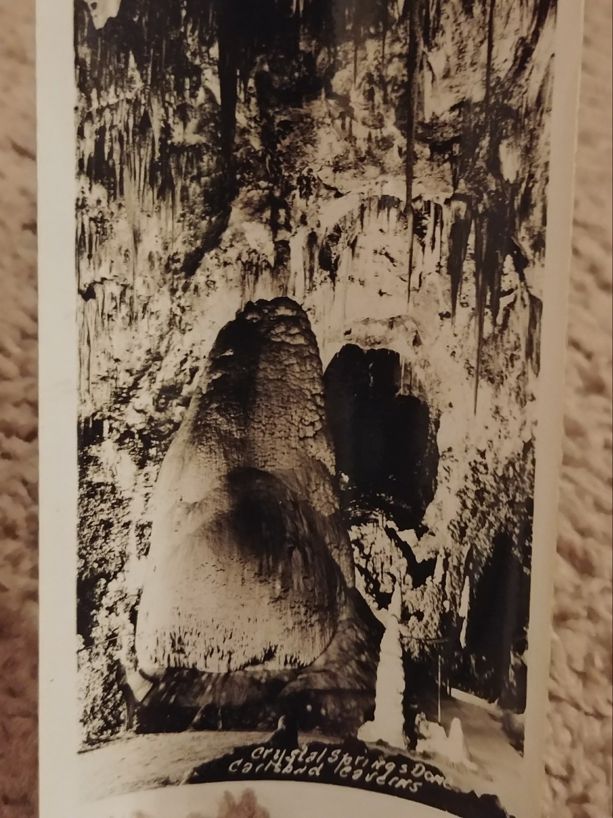Lot of 15 Vintage Black & White Souvenir Photos – Carlsbad Caverns New Mexico