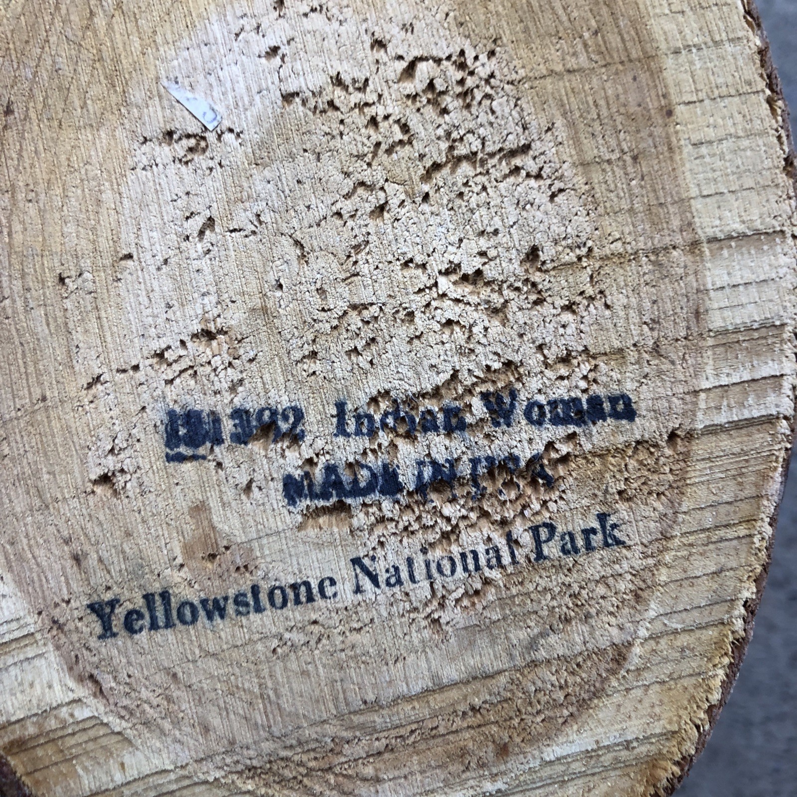 Indian Woman Yellowstone National Park USA Crackled Shellac Wall Hanging Wood