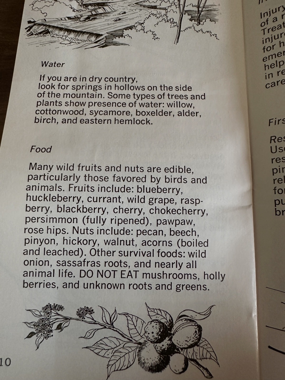 Vintage USDA Forest Service Safety Tips Booklet 1971 National Park