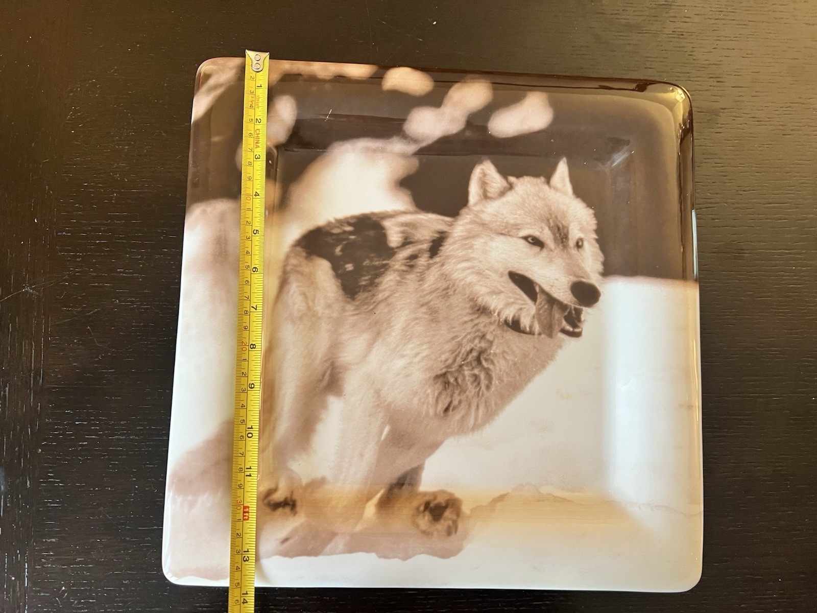 Yellowstone Wolf Plate Rose Creek Alpha Male #10 Barry O’Neill 13.5” w/ Box
