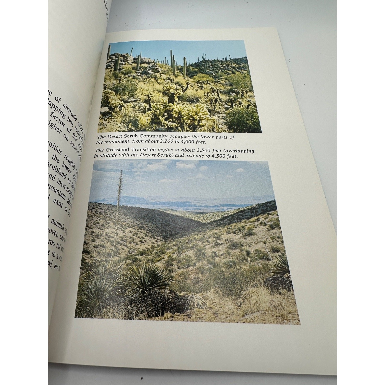 Saguaro National Park Official Handbook 1985 Arizona National Park Service