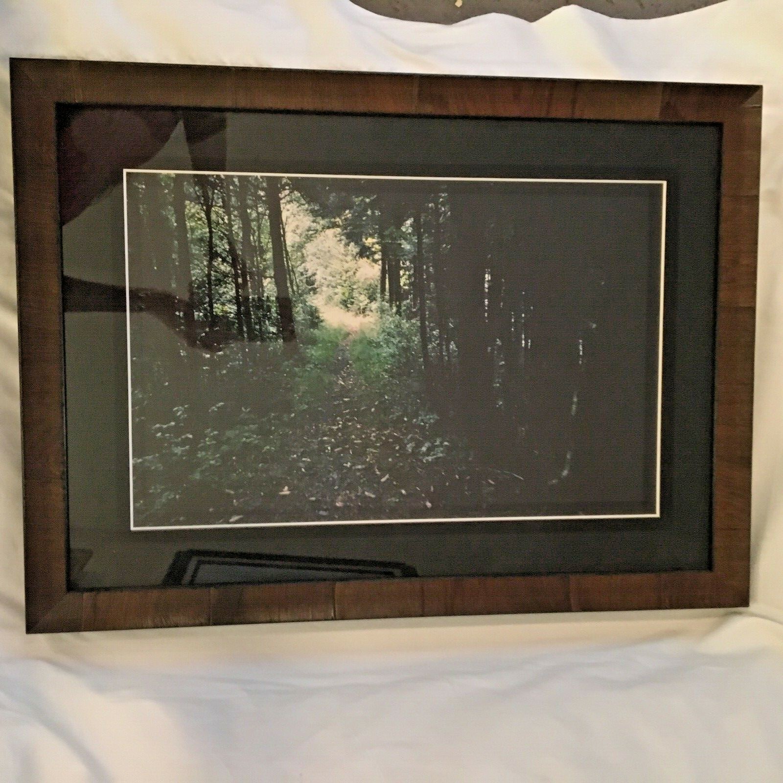 The Great Smokey Mountains Natural Original Photos & photographer w/notes